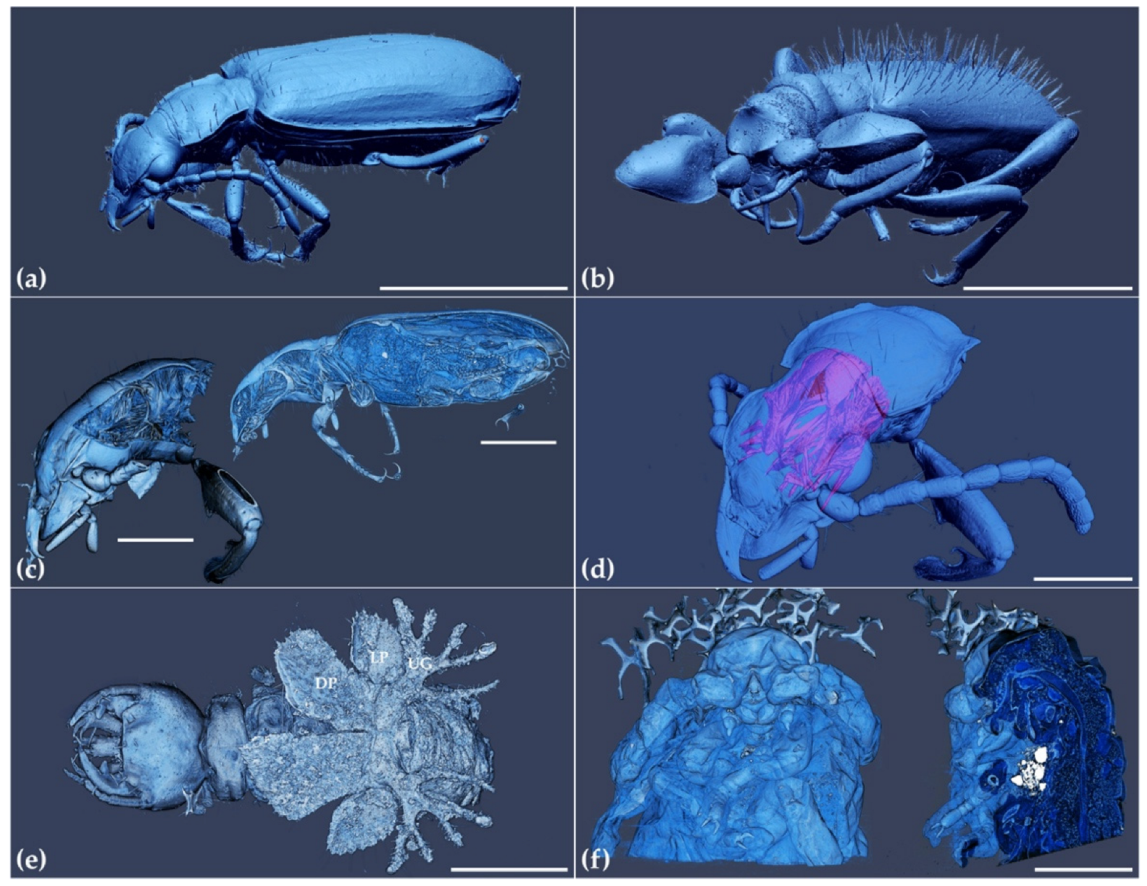 Applsci 12 00769 g004