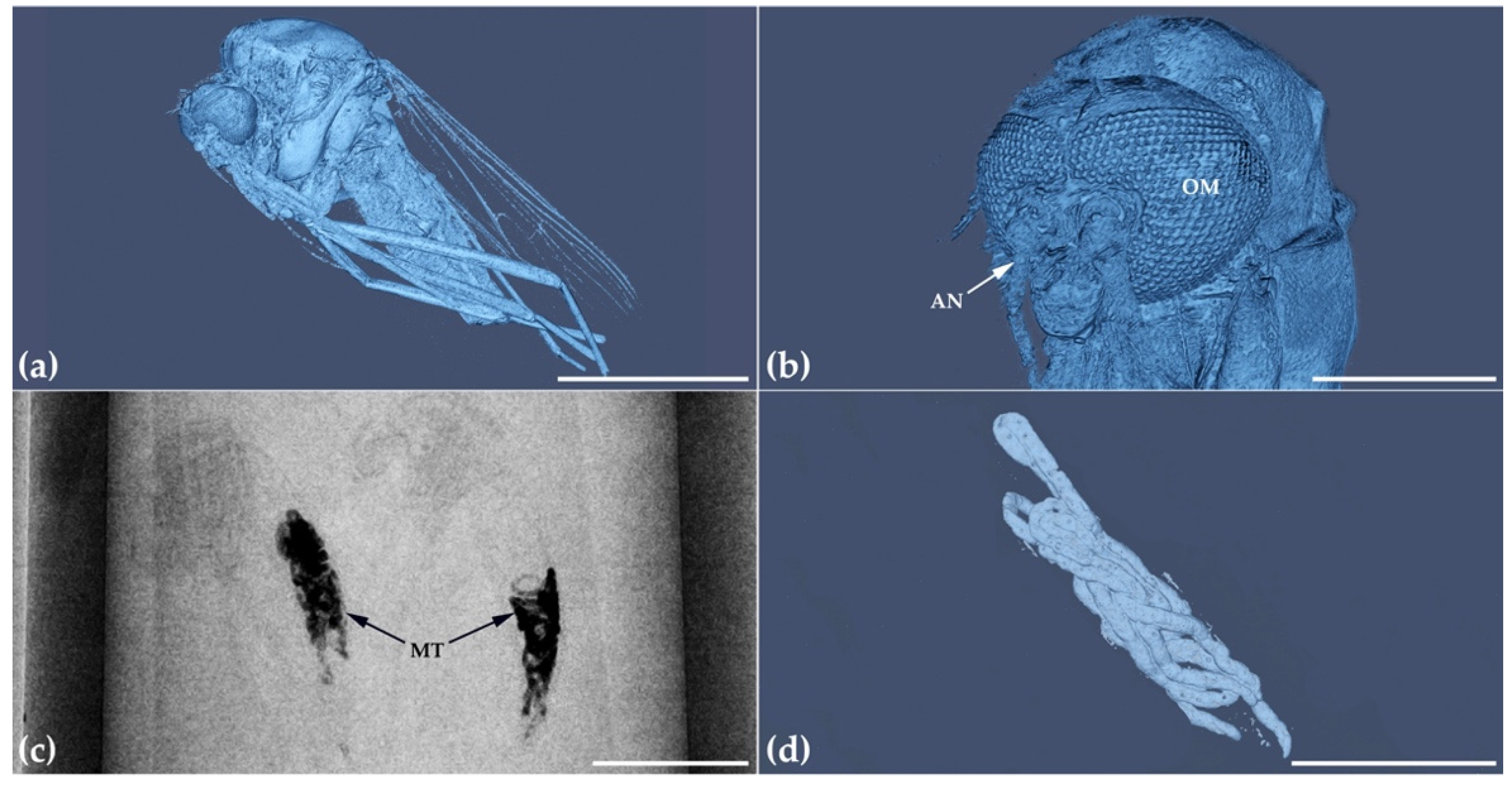 Applsci 12 00769 g005