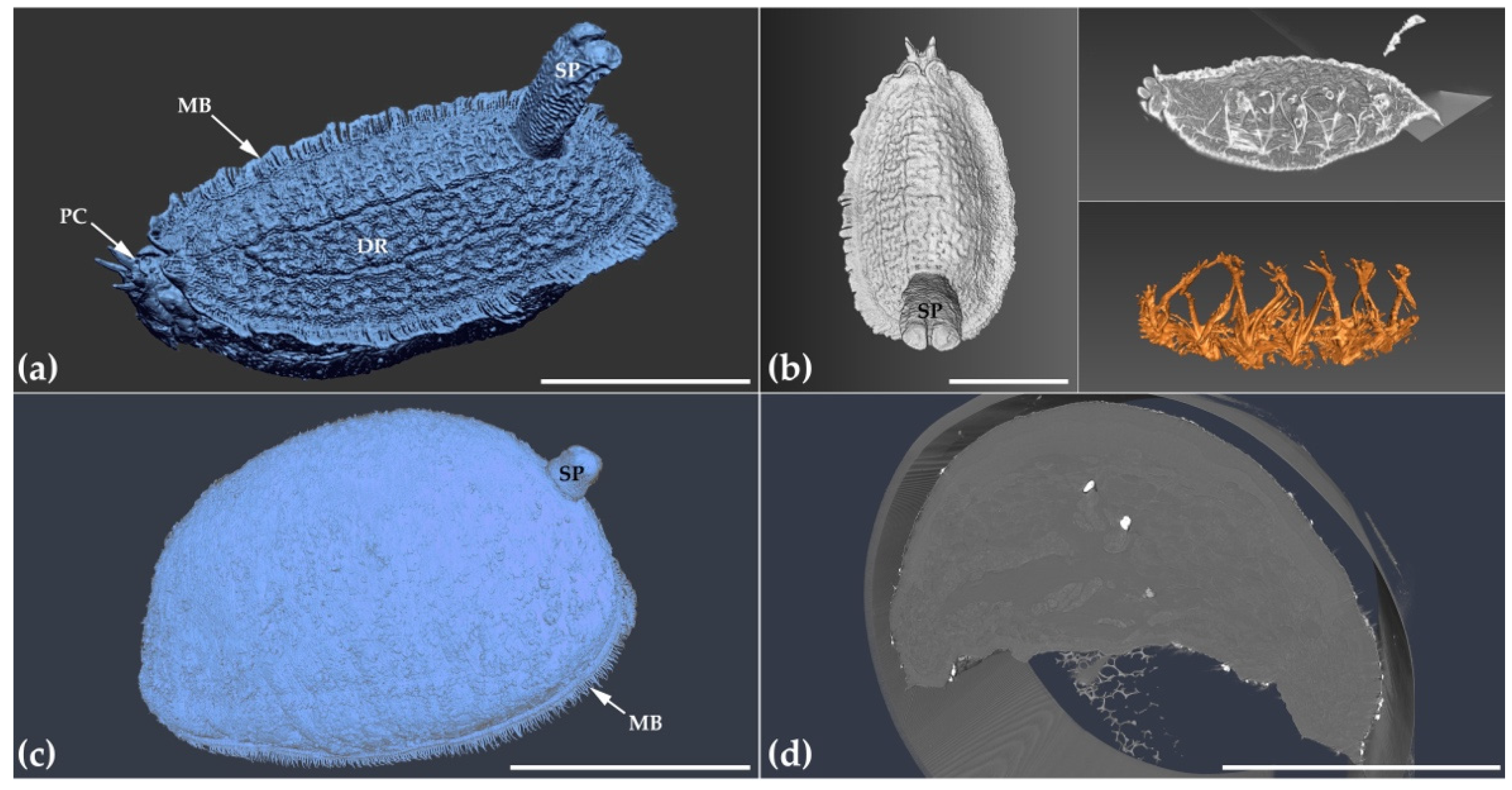 Applsci 12 00769 g006