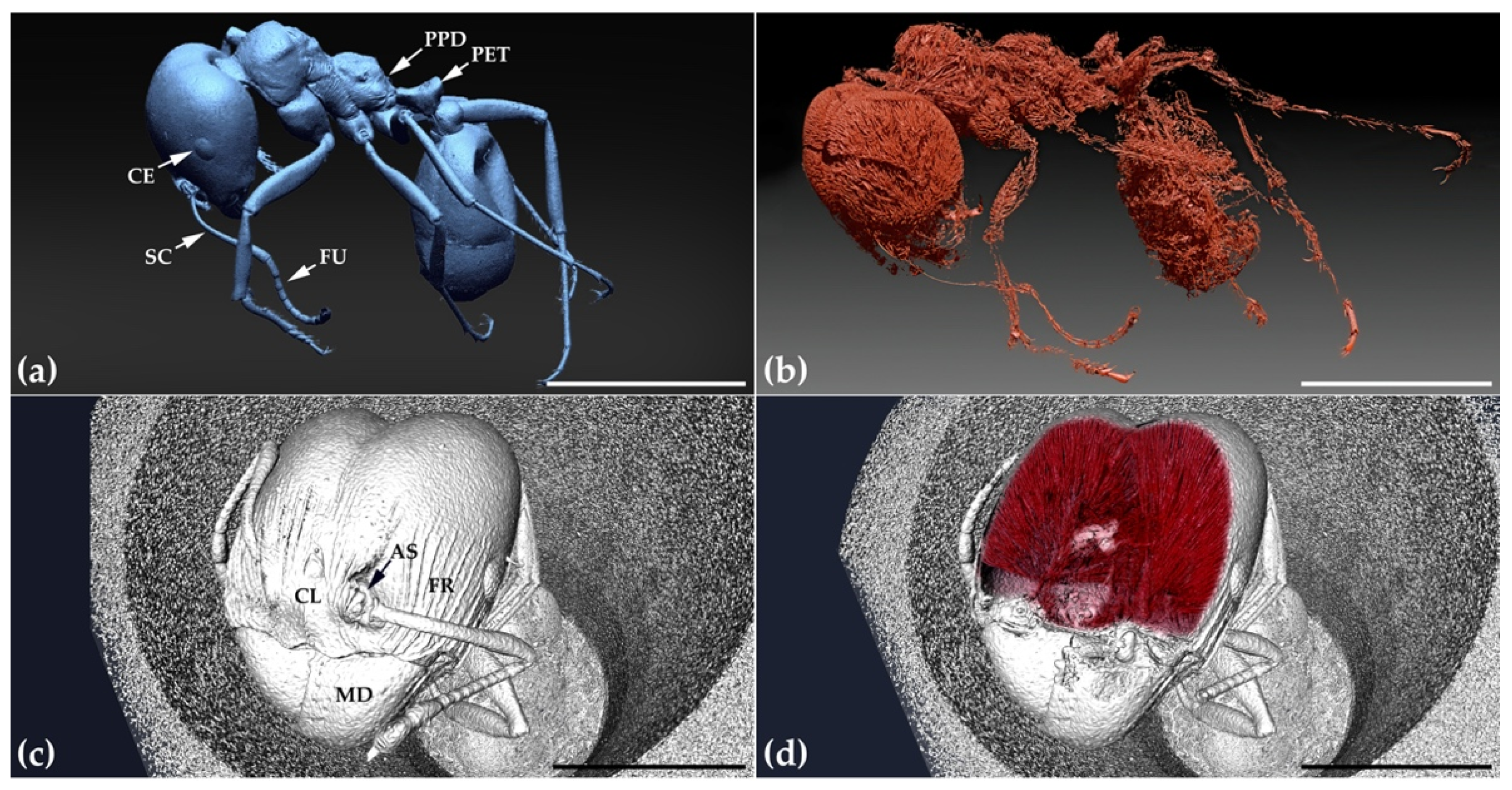 Applsci 12 00769 g007