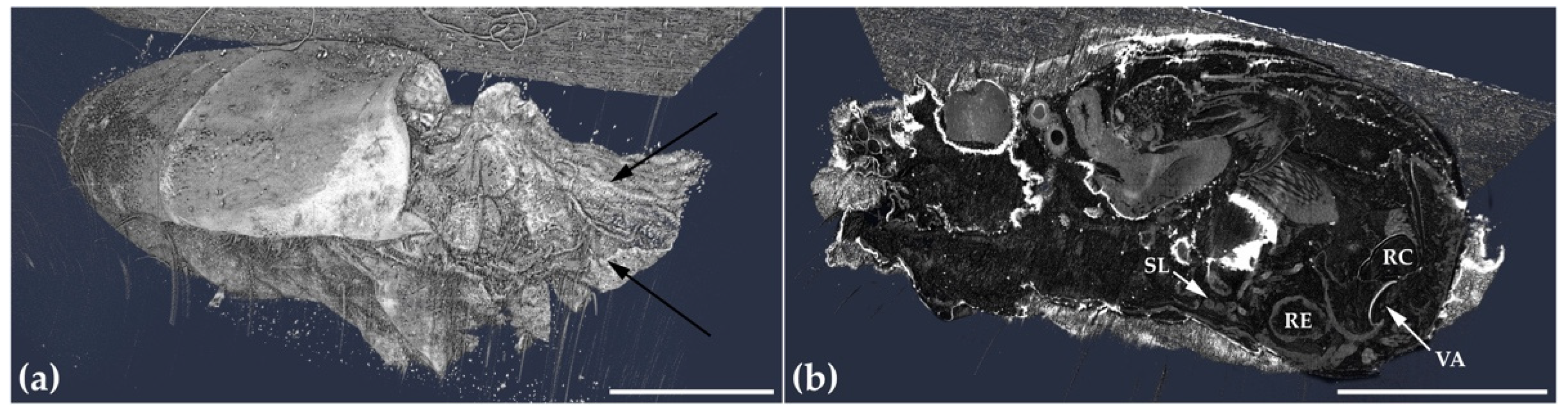Applsci 12 00769 g008