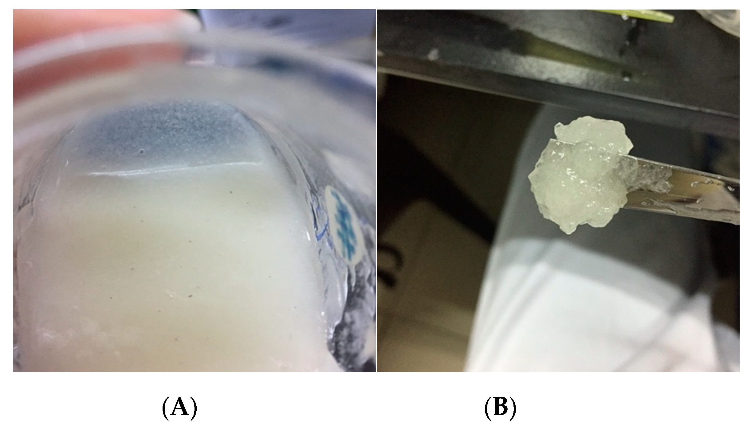 Applsci 12 00771 g001 550