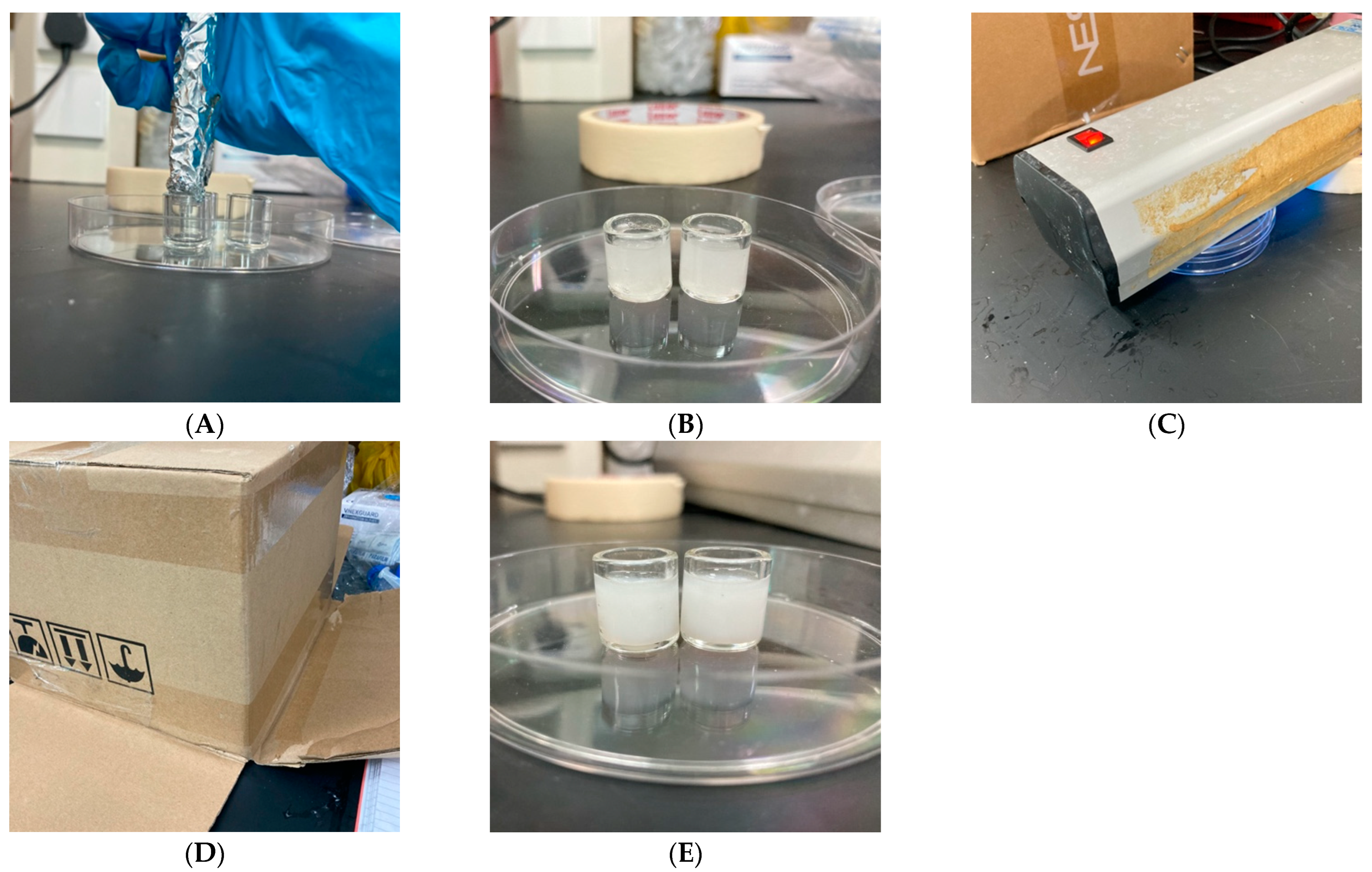 Applsci 12 00771 g003 550