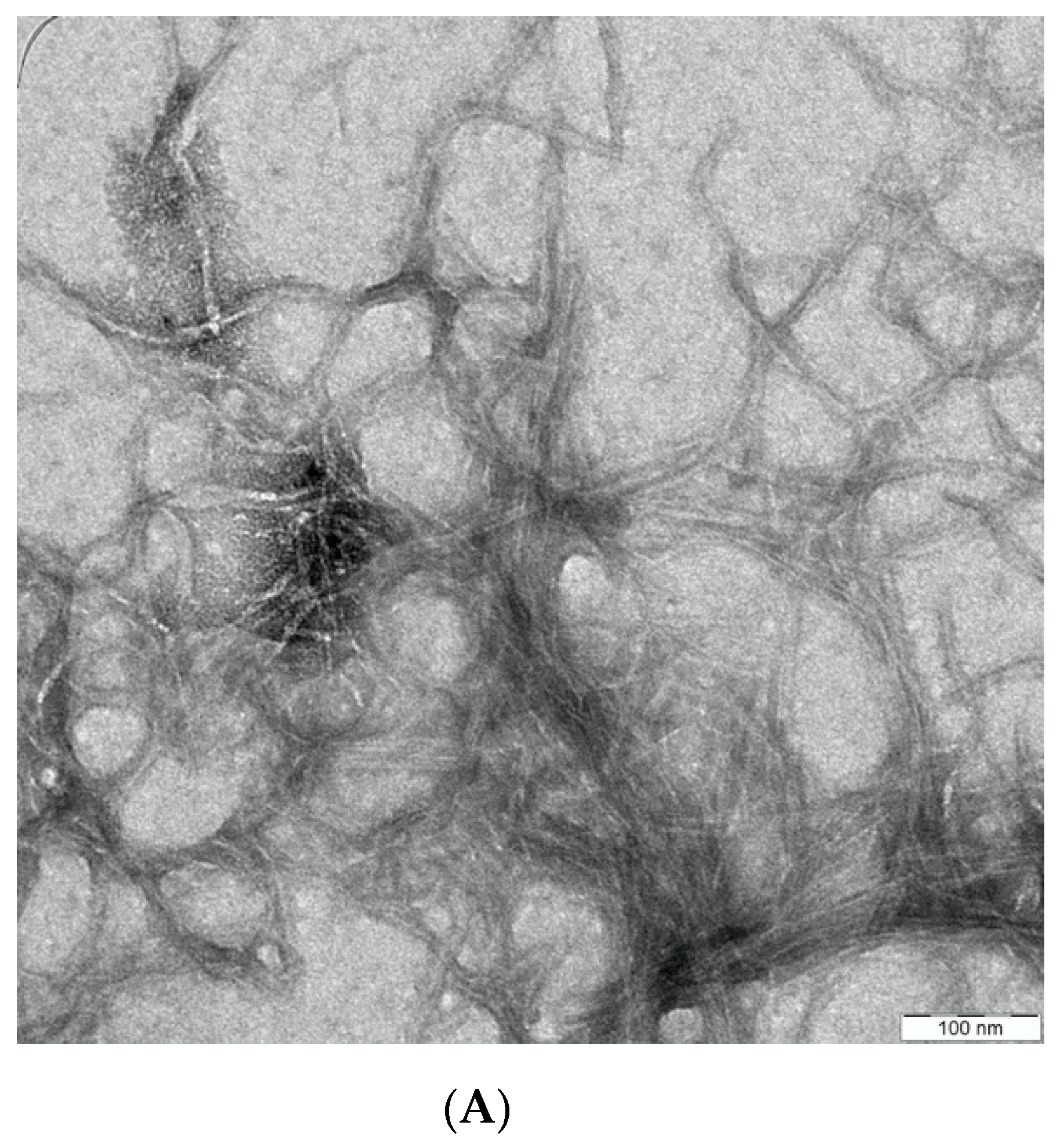 Applsci 12 00771 g004a 550