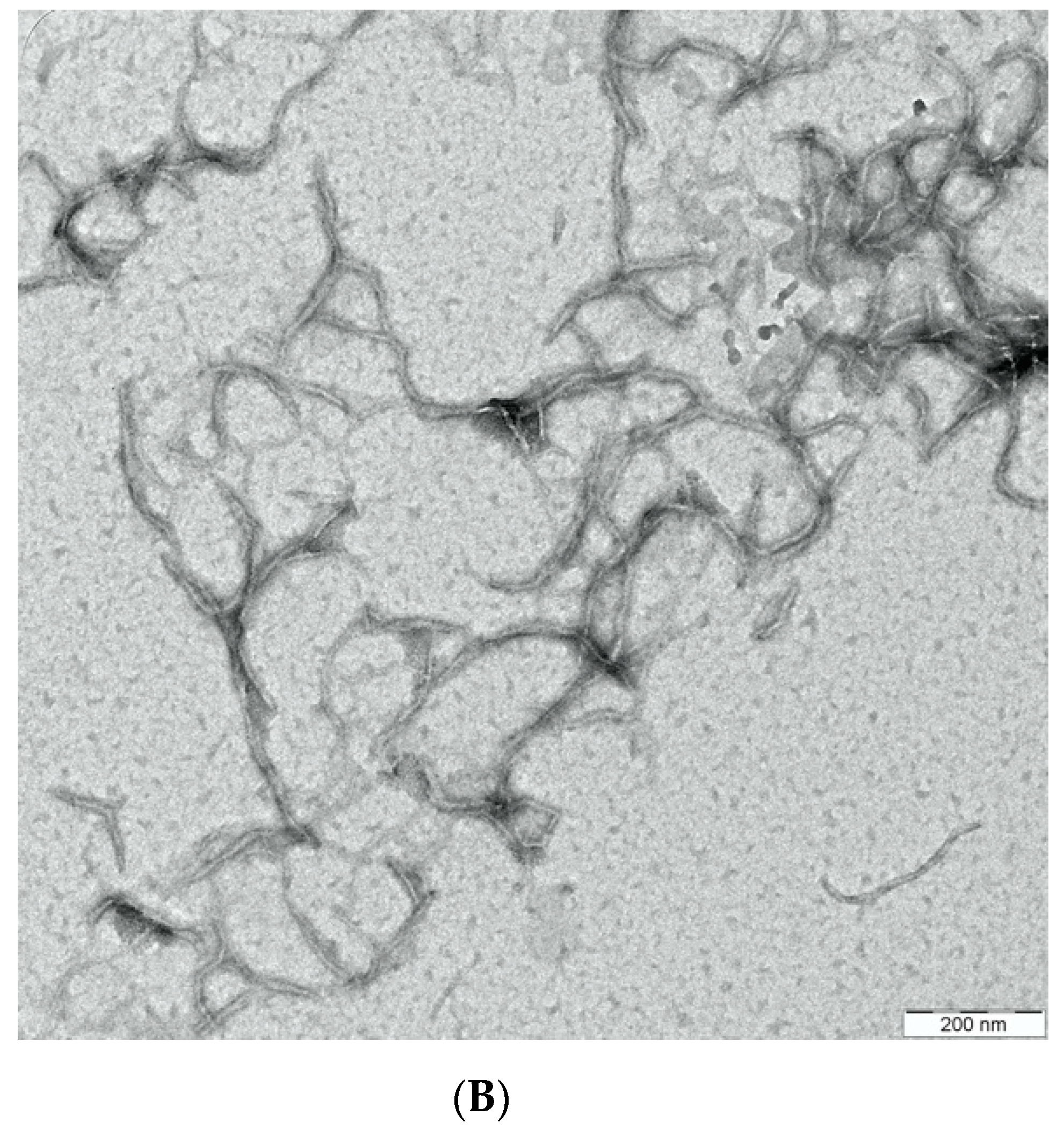 Applsci 12 00771 g004b 550