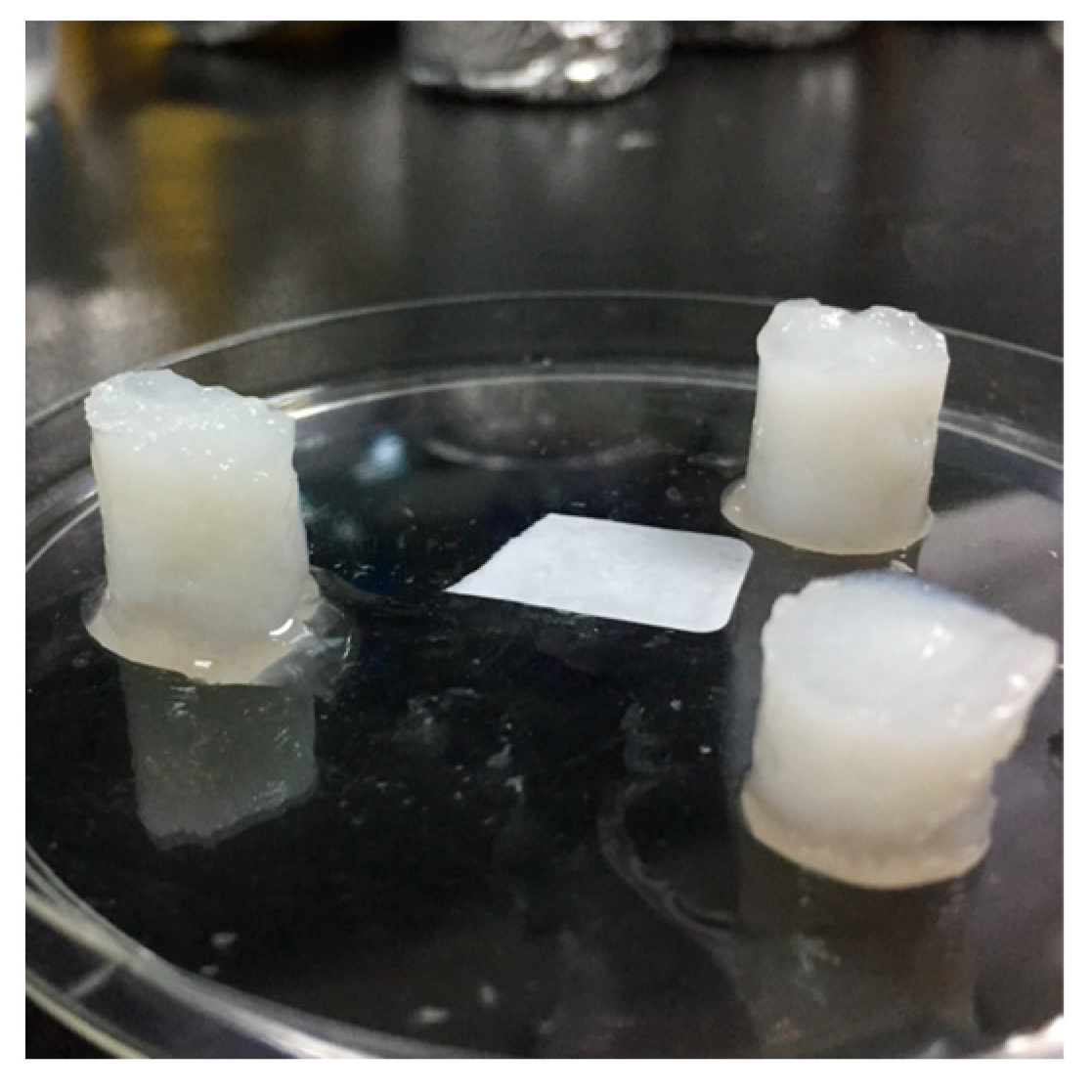 Applsci 12 00771 g008 550