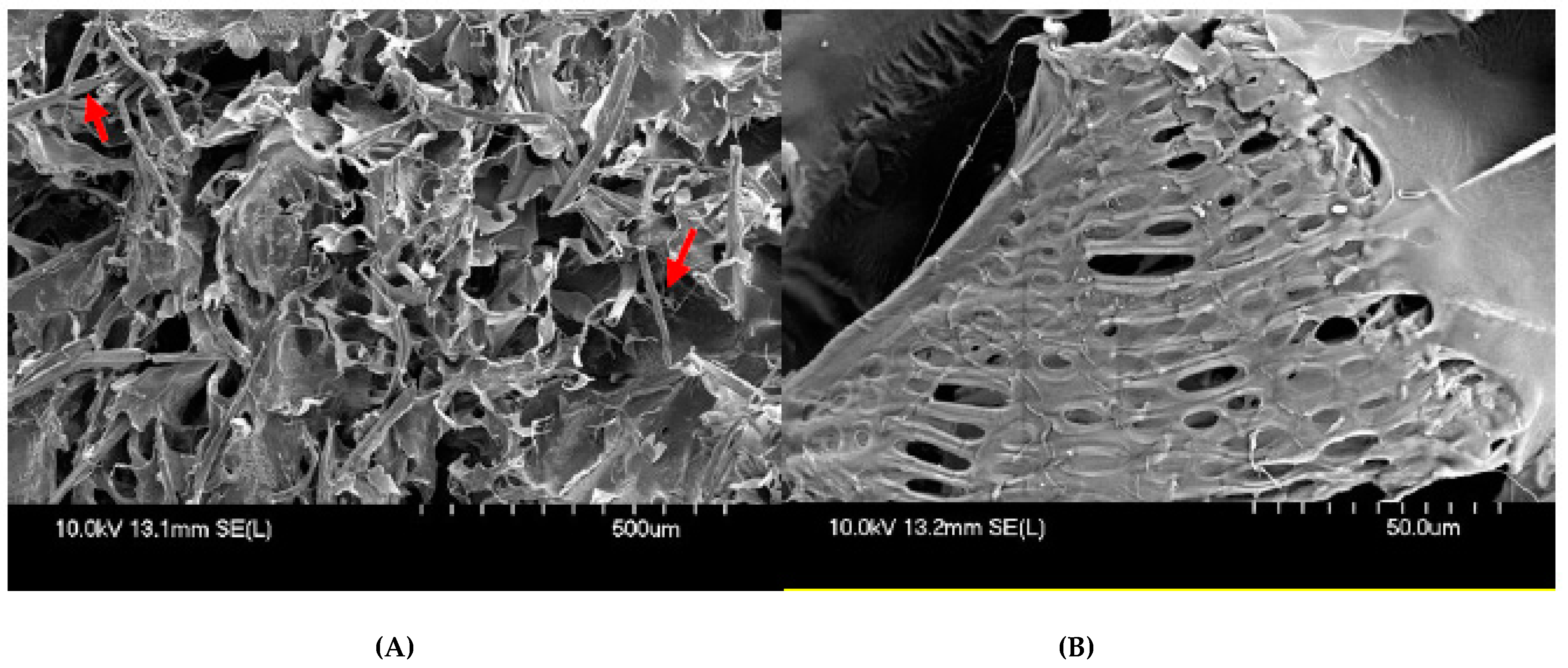 Applsci 12 00771 g010 550
