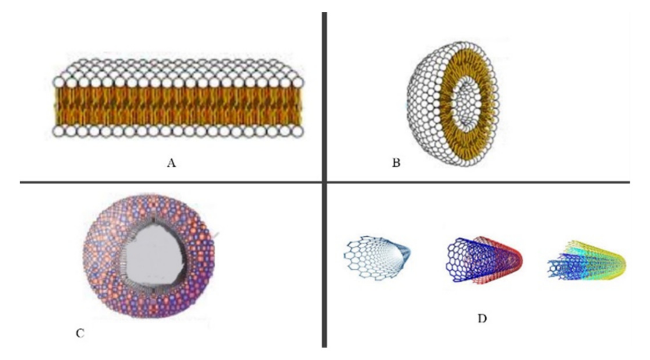 Applsci 12 00838 g002