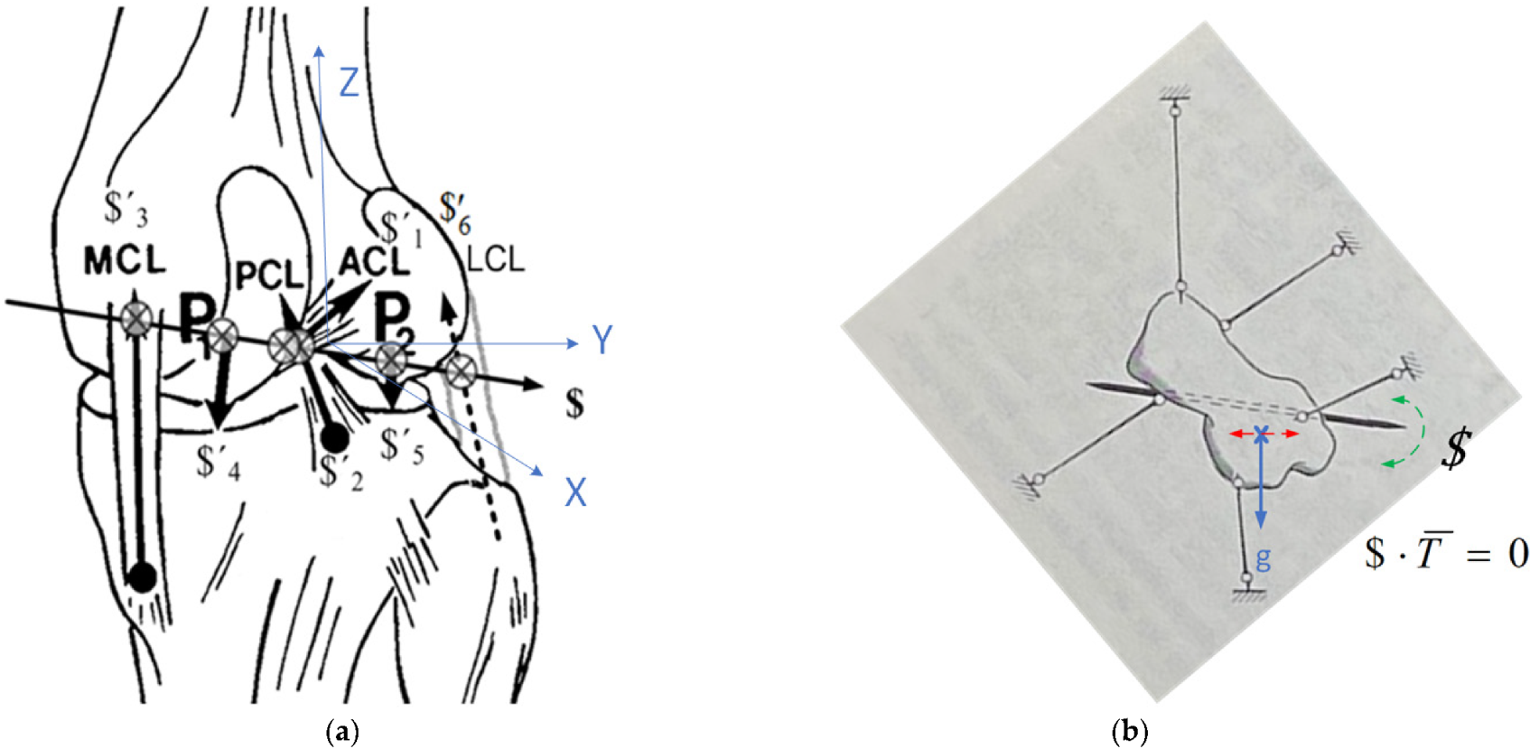 Applsci 12 00839 g001