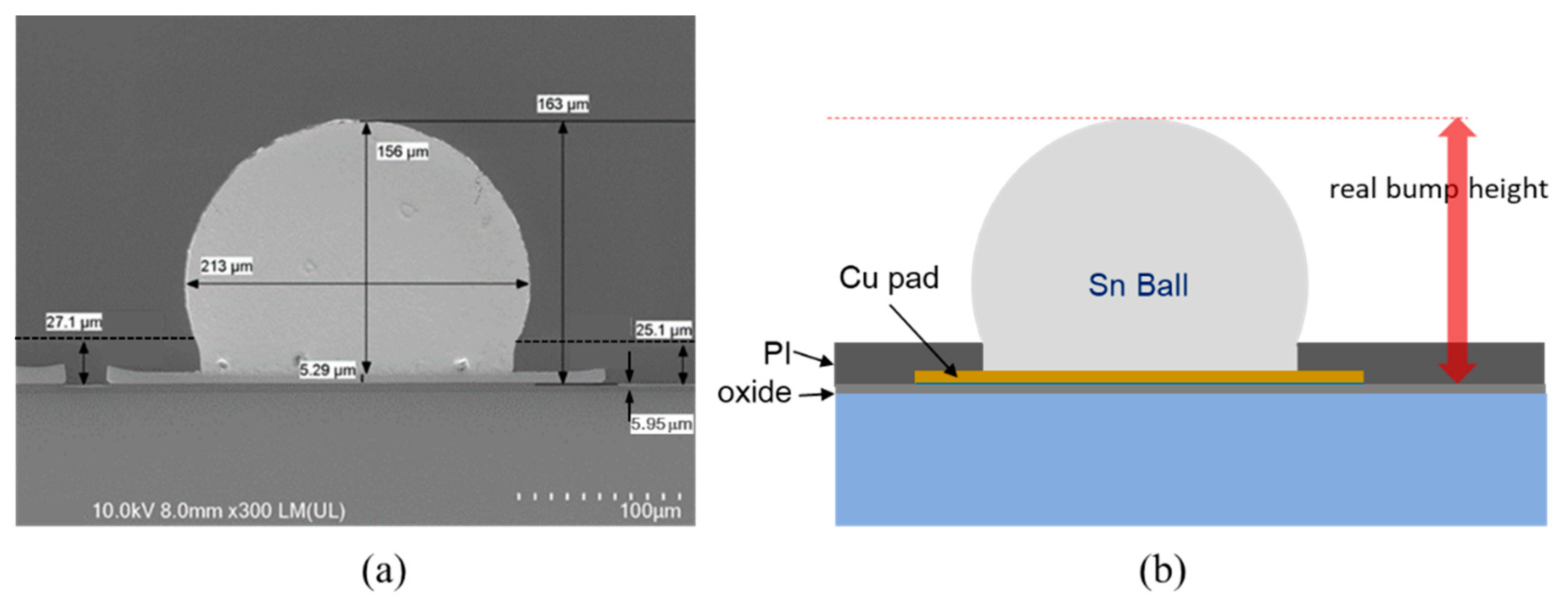 Applied Sciences Free FullText Metrology for Measuring Bumps in a