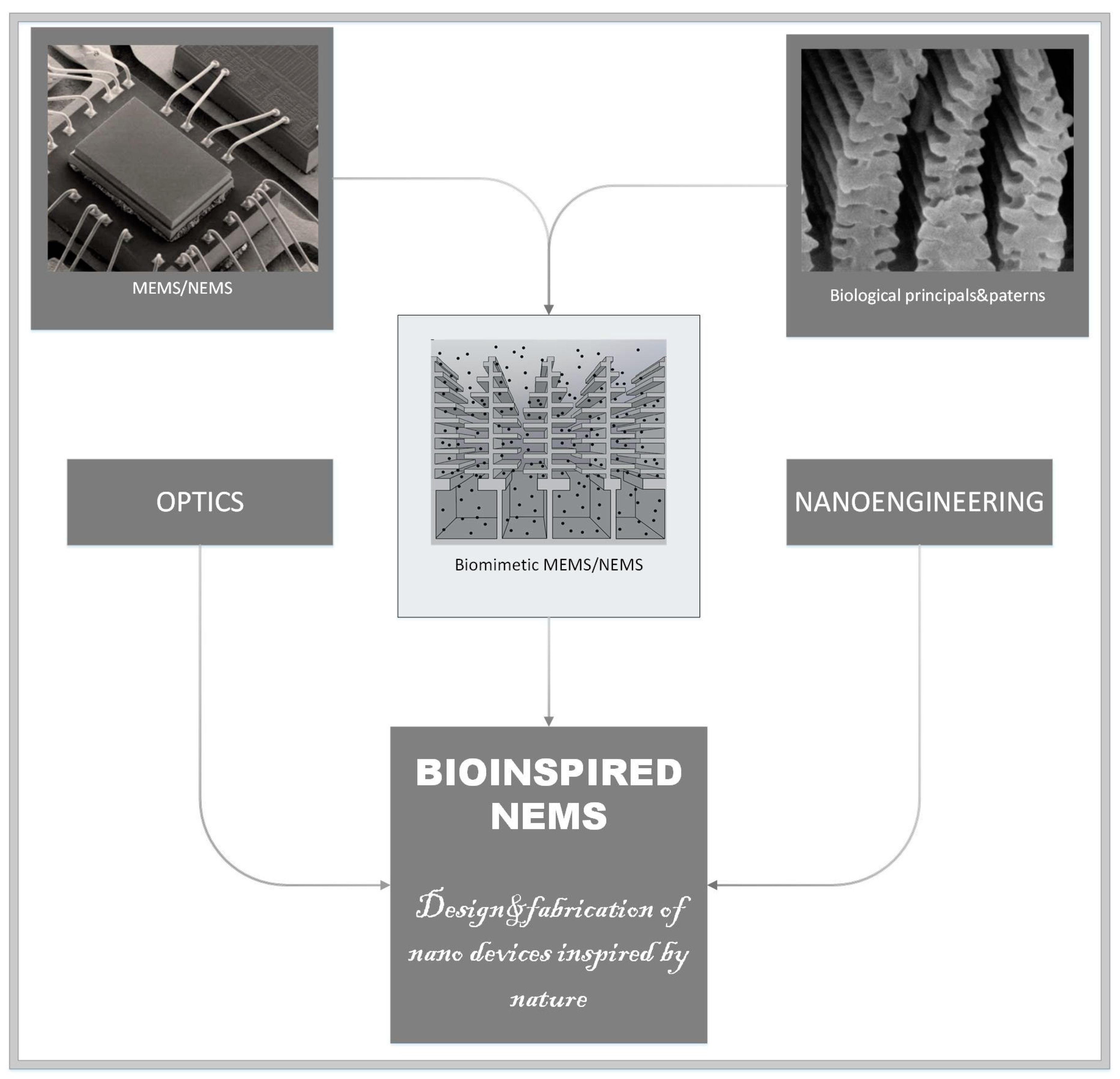 Applsci 12 00905 g002 Applsci 12 00905 g002