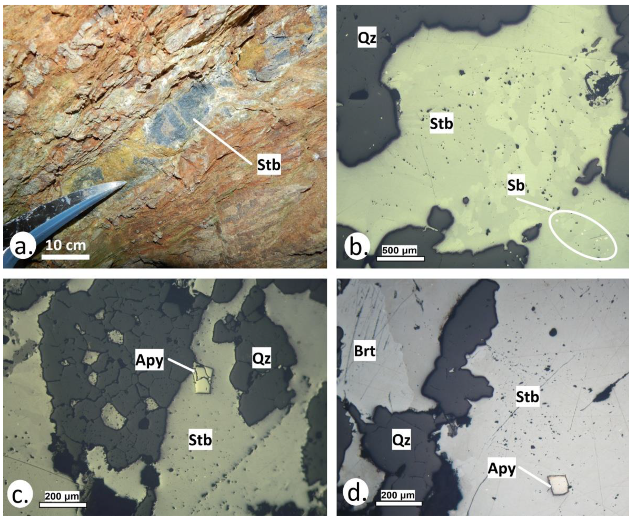 Applsci 12 00909 g003