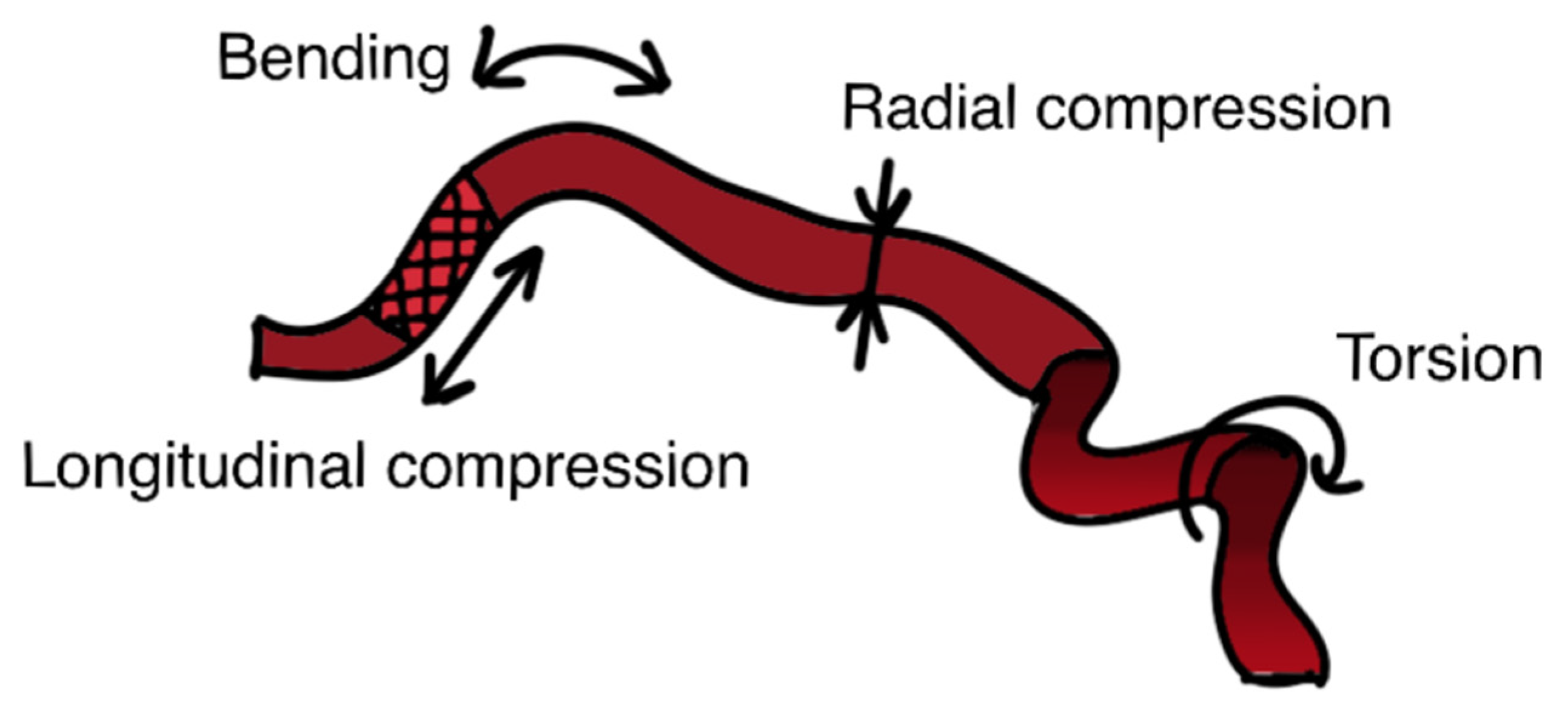 Applsci 12 00910 g001 550