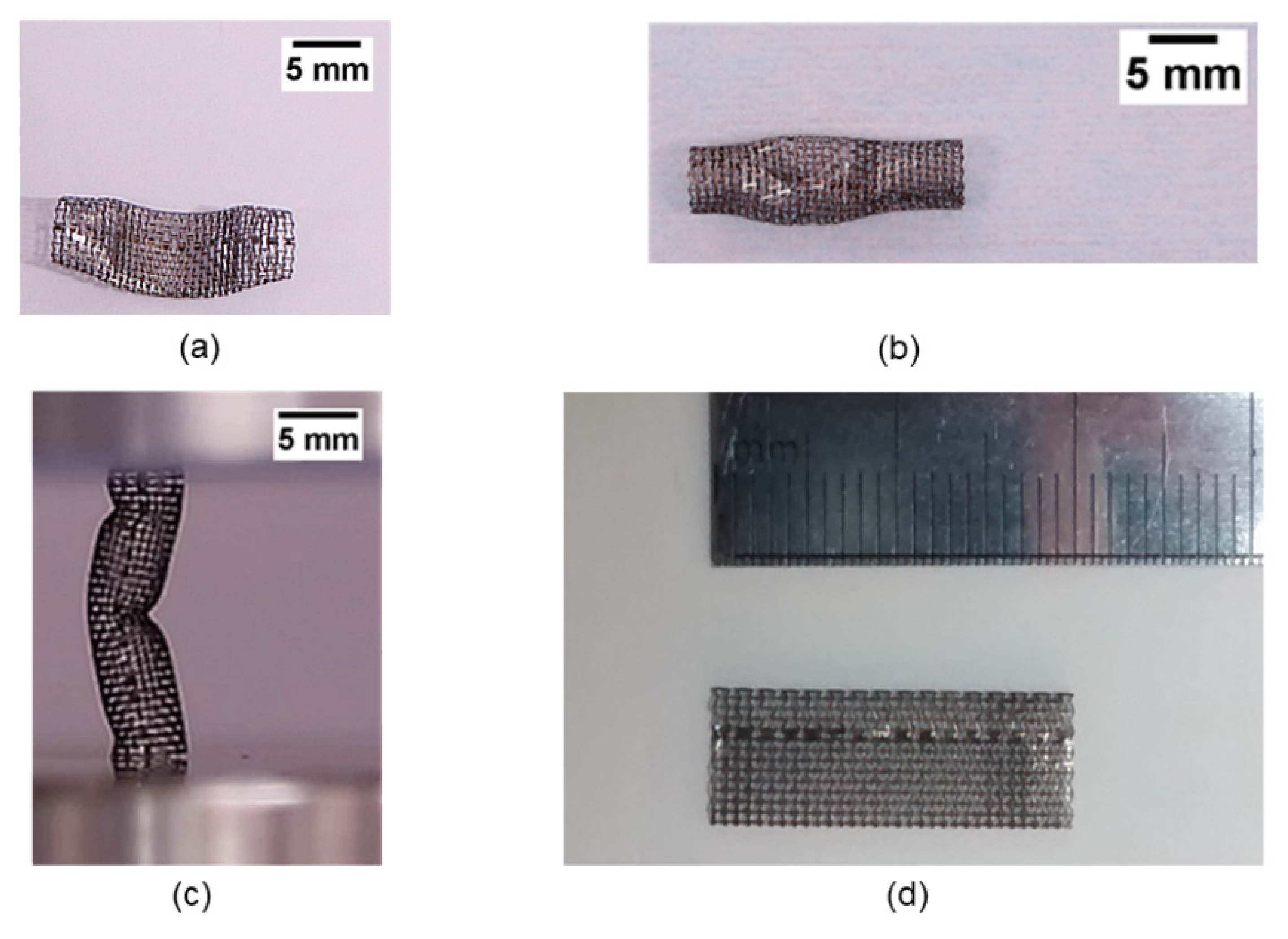 Applsci 12 00910 g006 550