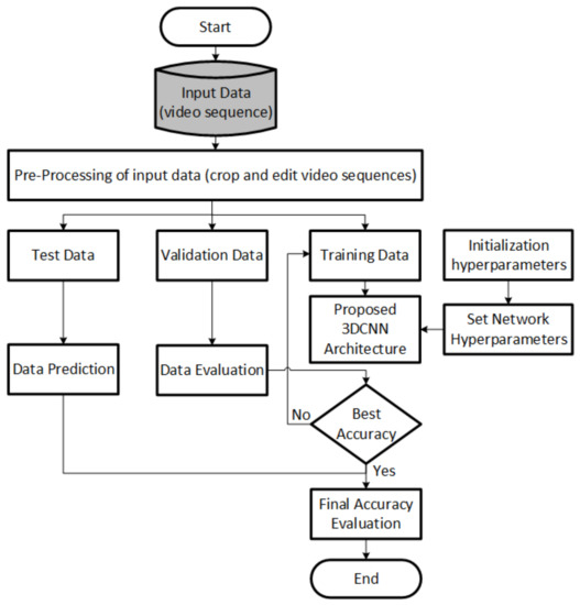 Human Activity Classification Using the 3DCNN Architecture