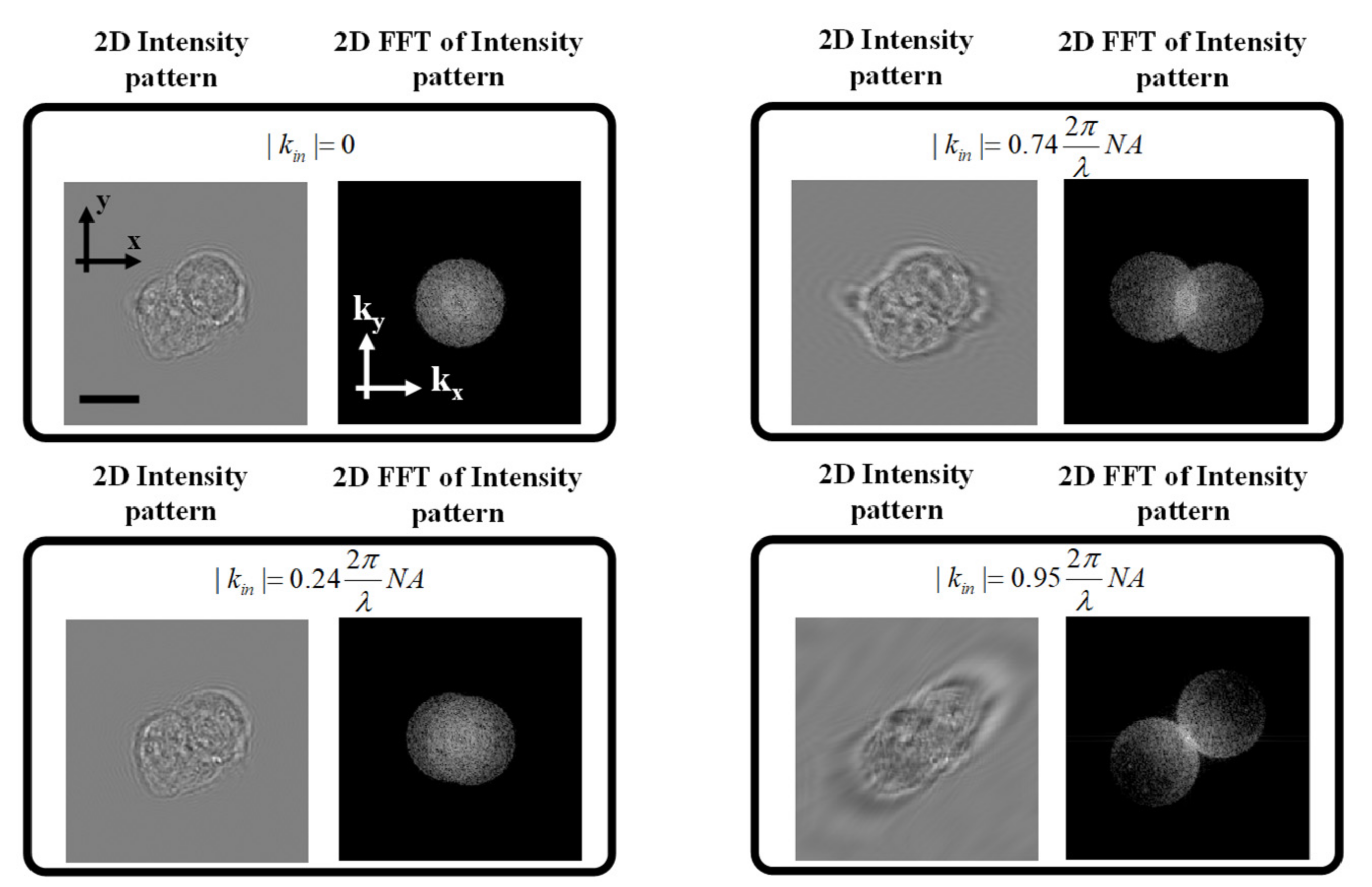 Applsci 12 00951 g001 550