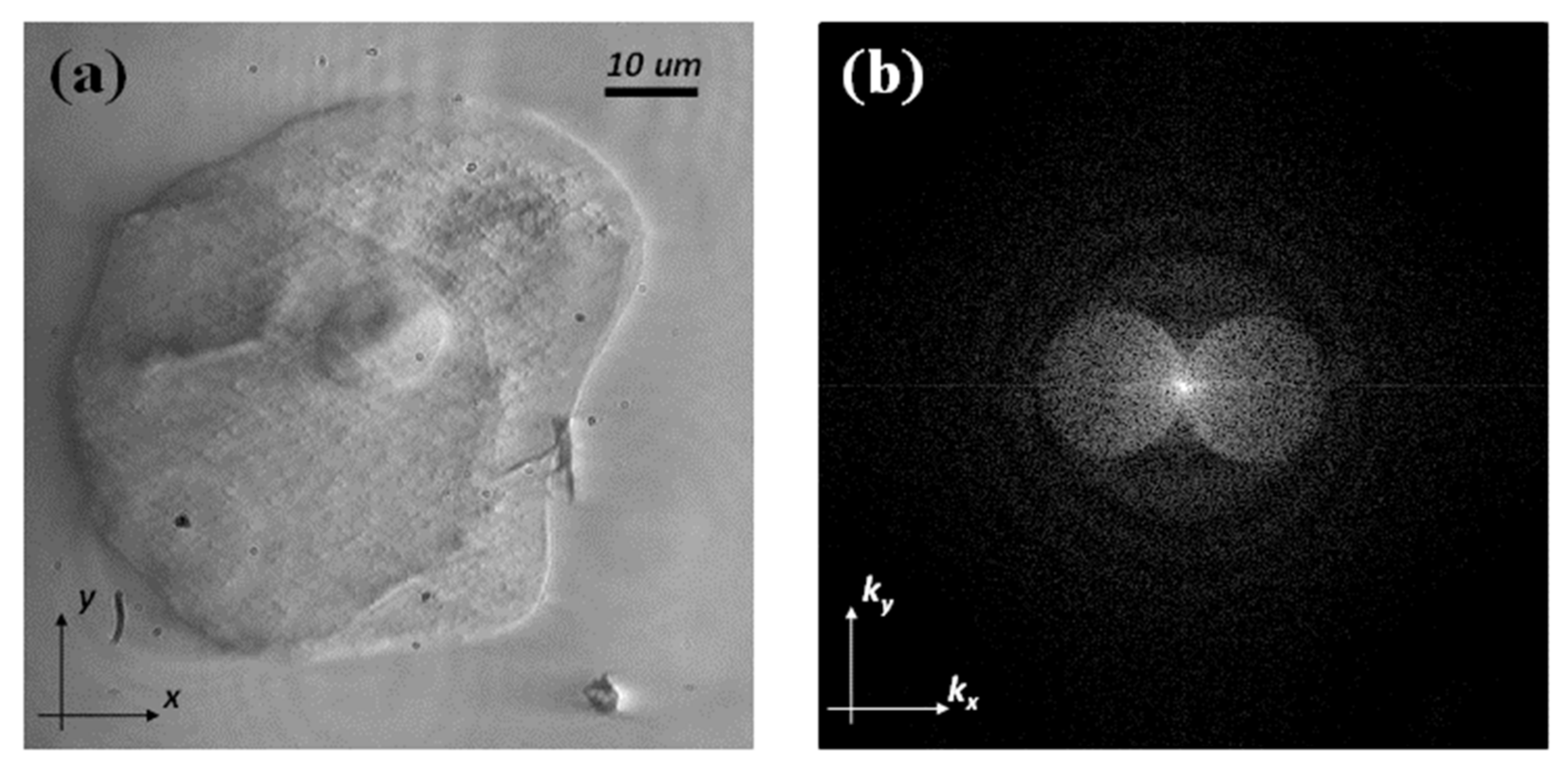 Applsci 12 00951 g004 550