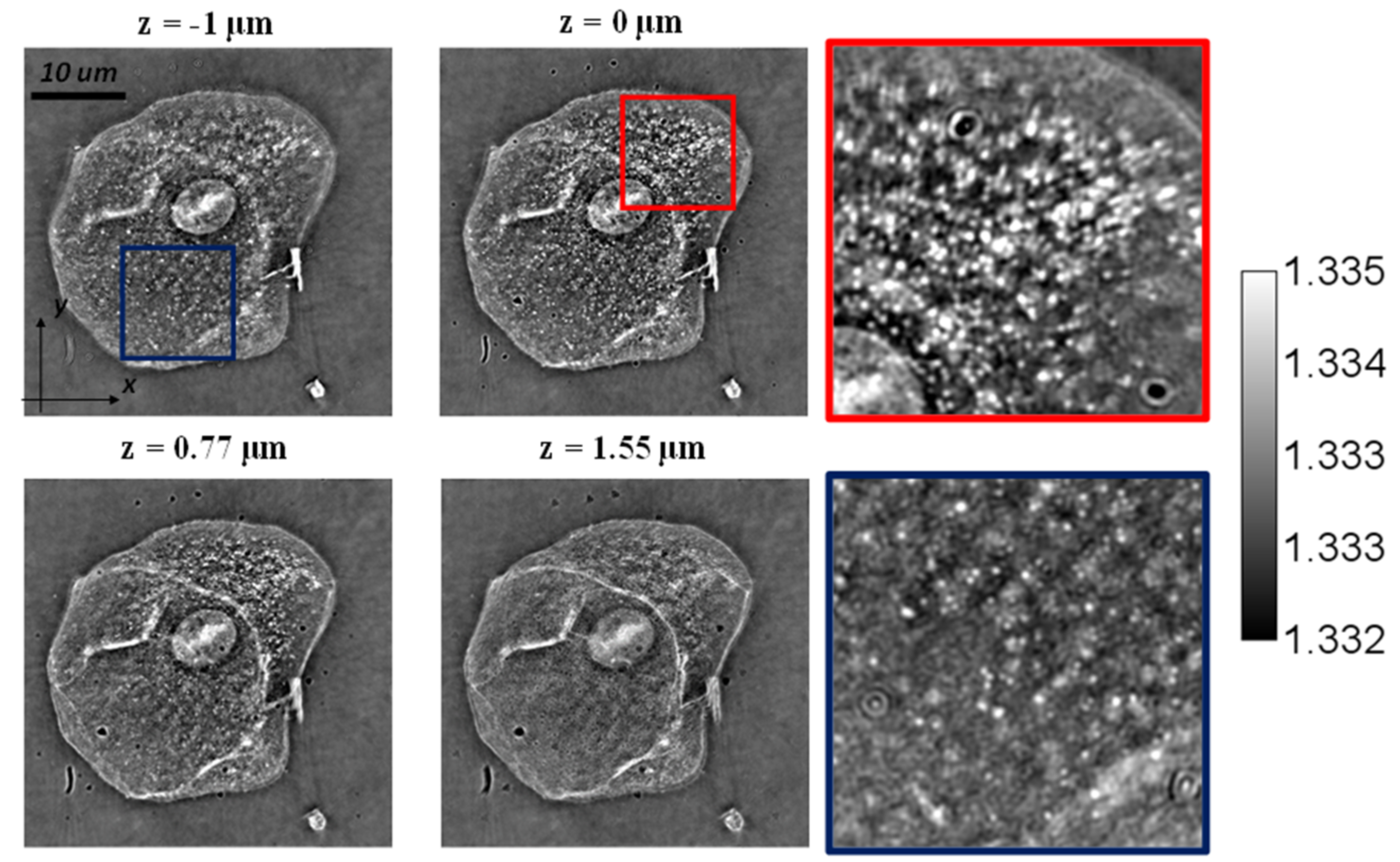 Applsci 12 00951 g005 550