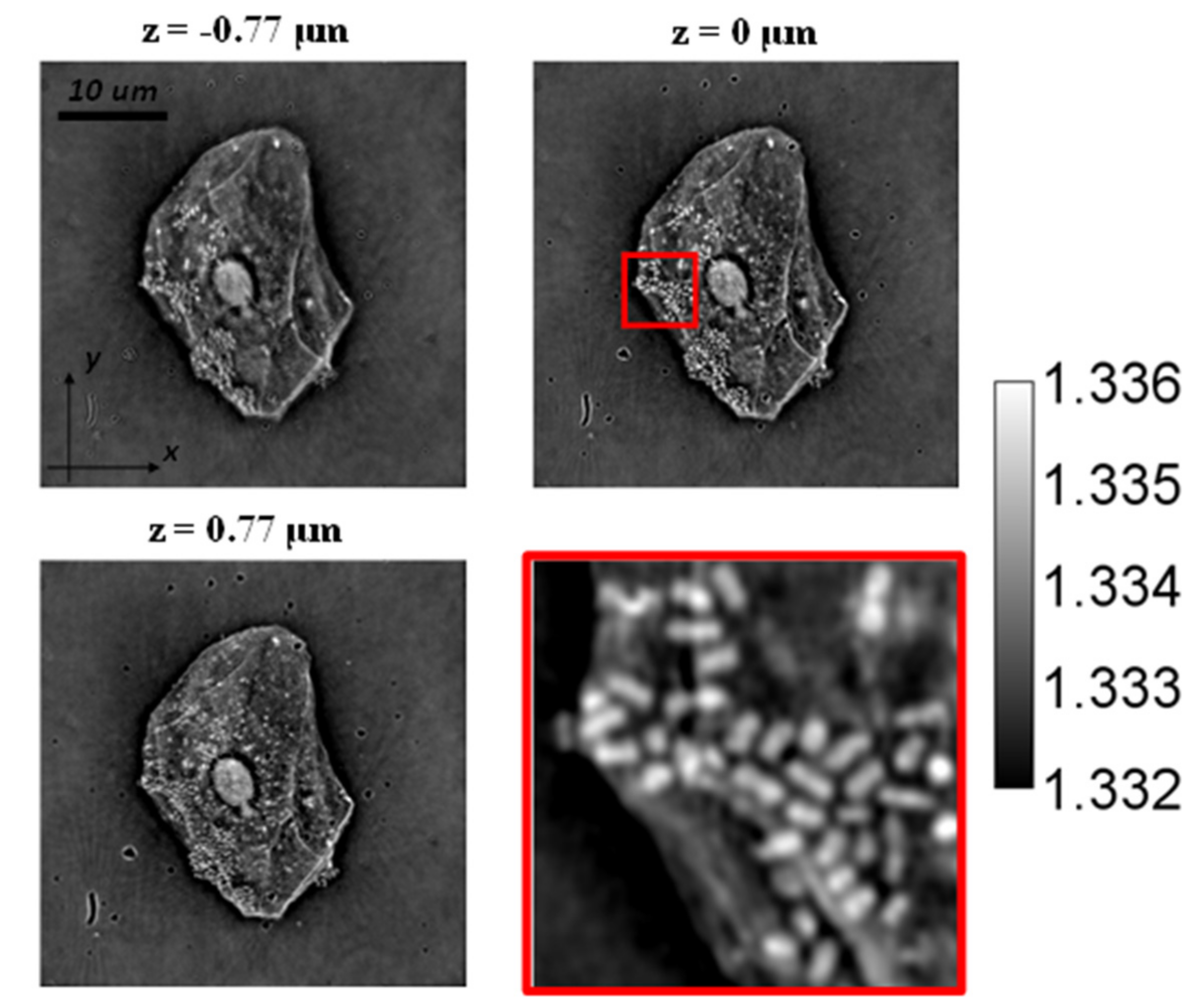 Applsci 12 00951 g006 550