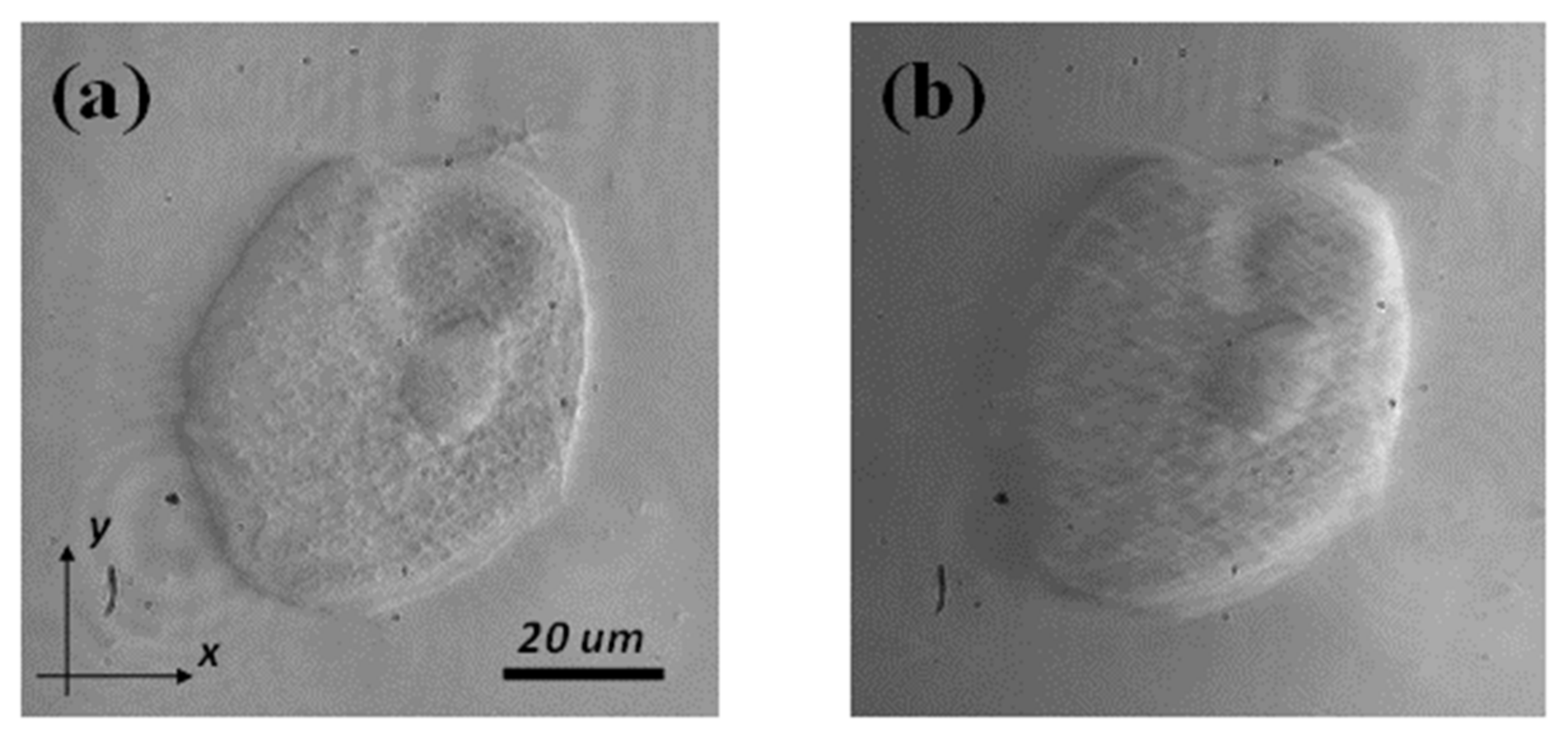 Applsci 12 00951 g010 550