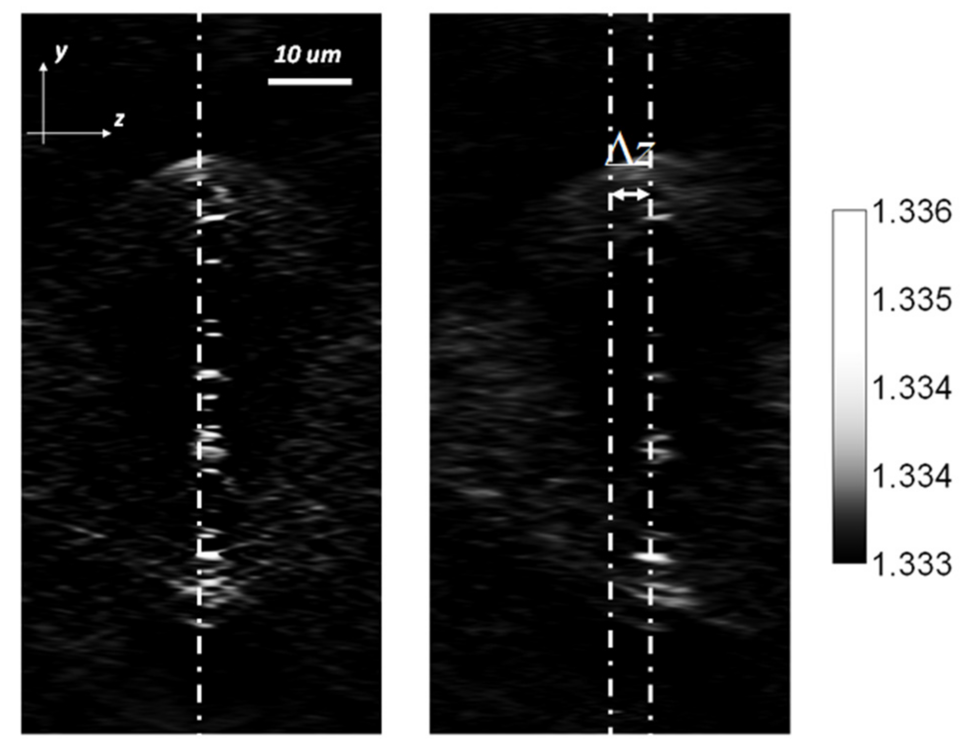 Applsci 12 00951 g011 550