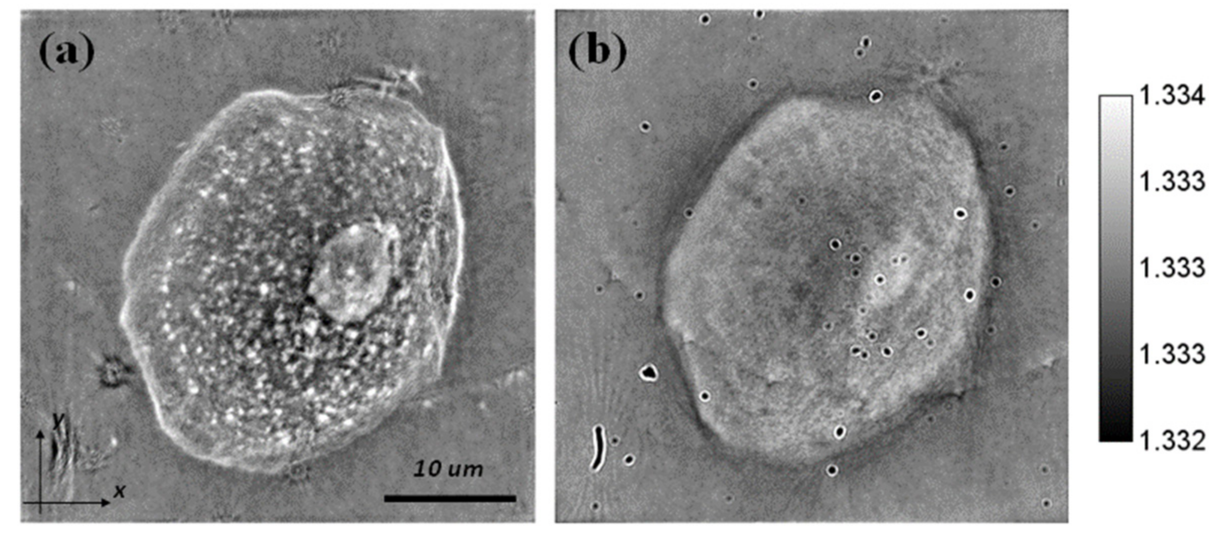 Applsci 12 00951 g012 550