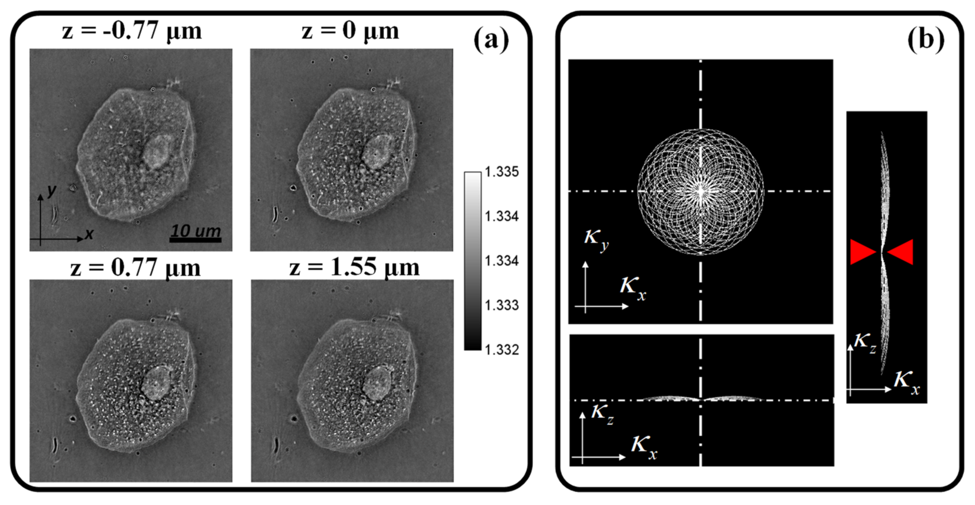Applsci 12 00951 g013 550