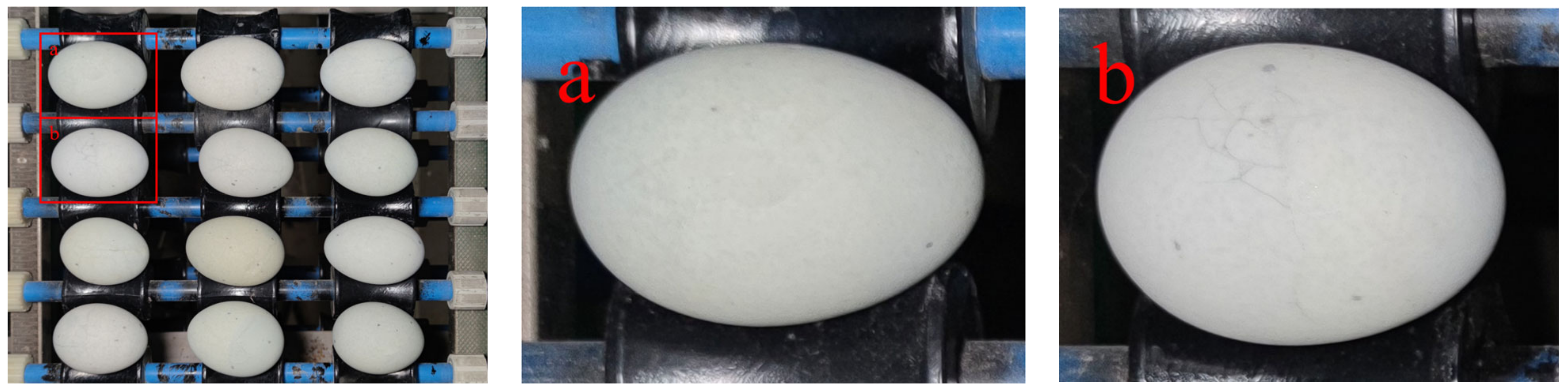 Applsci 12 00952 g001