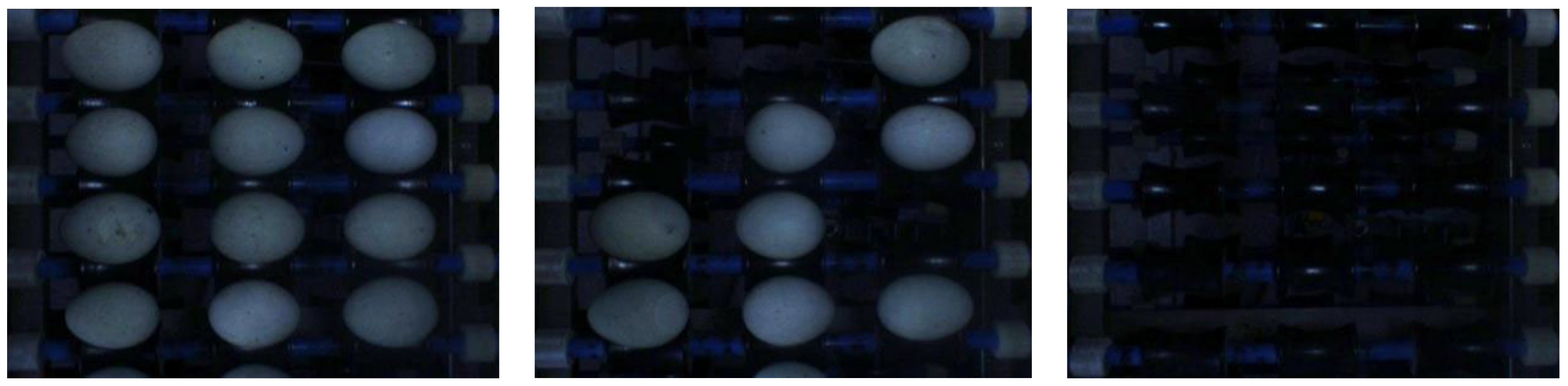 Applsci 12 00952 g004