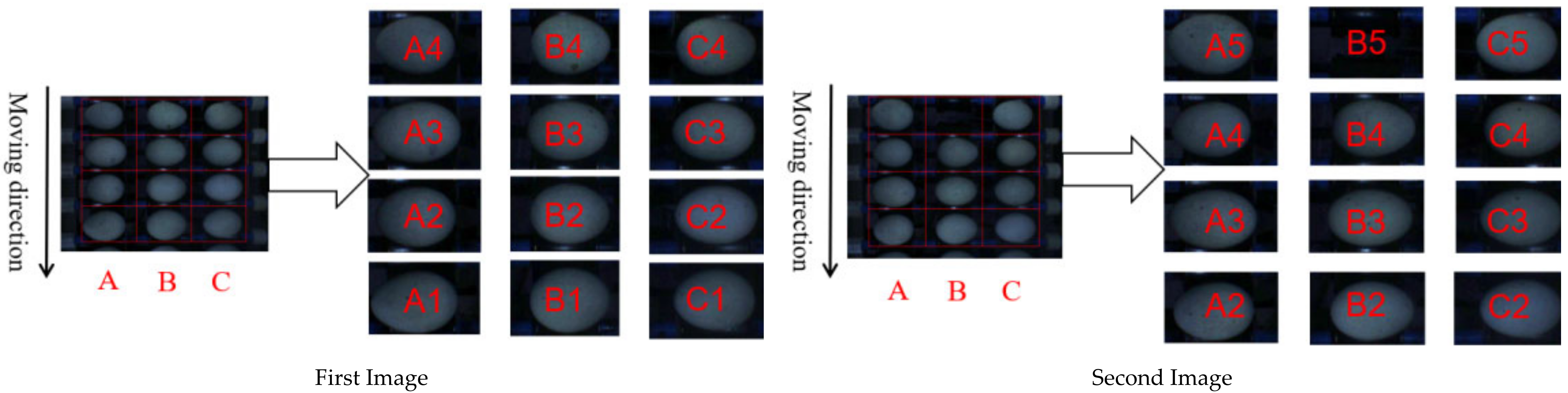 Applsci 12 00952 g006
