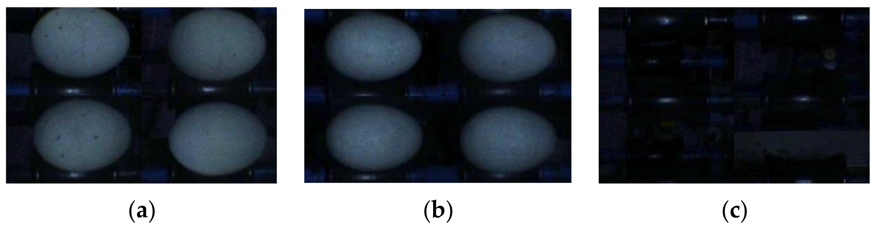 Applsci 12 00952 g008