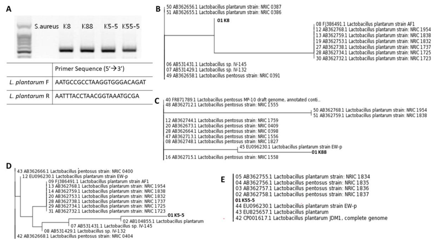 Applsci 12 00954 g001