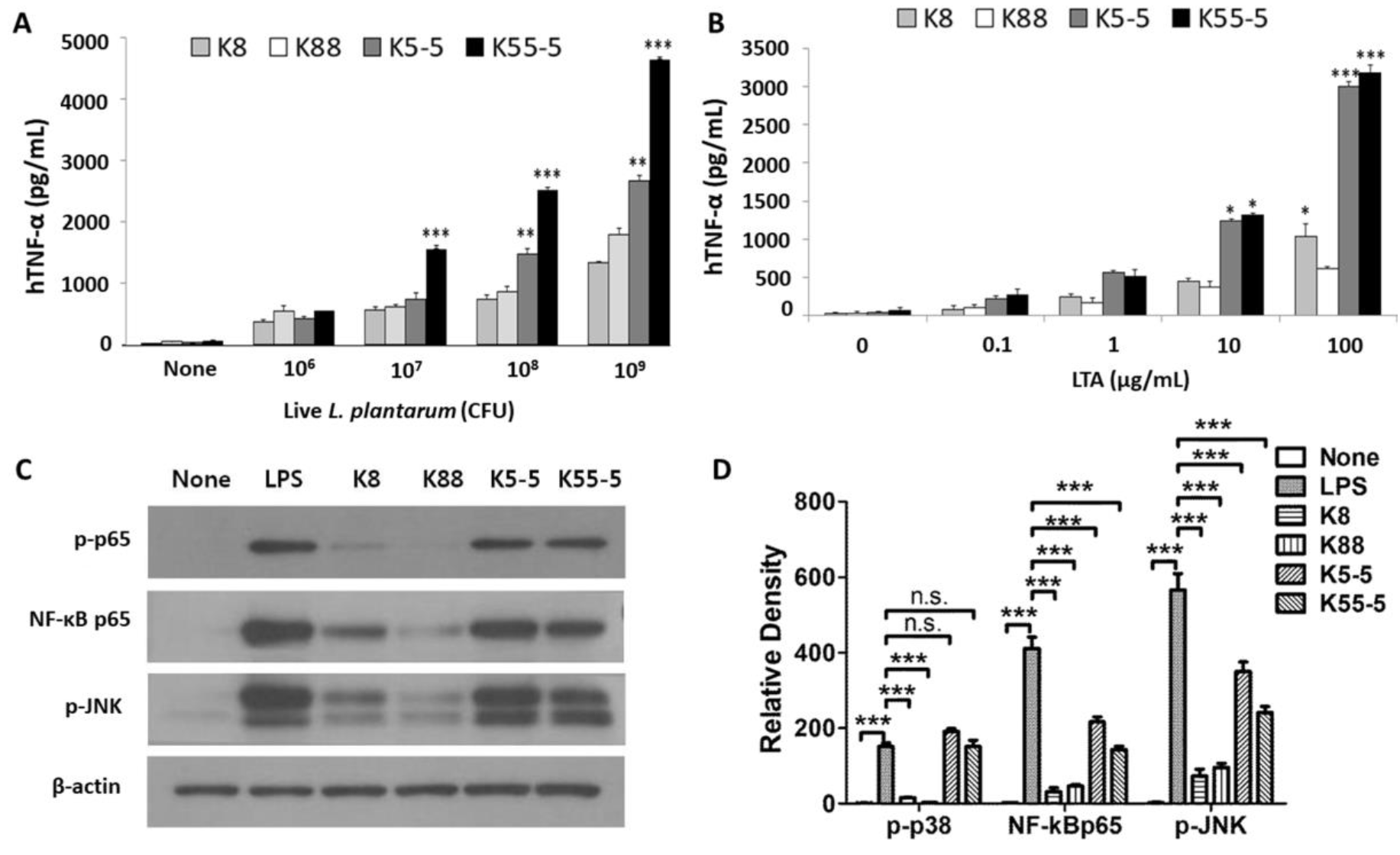 Applsci 12 00954 g002