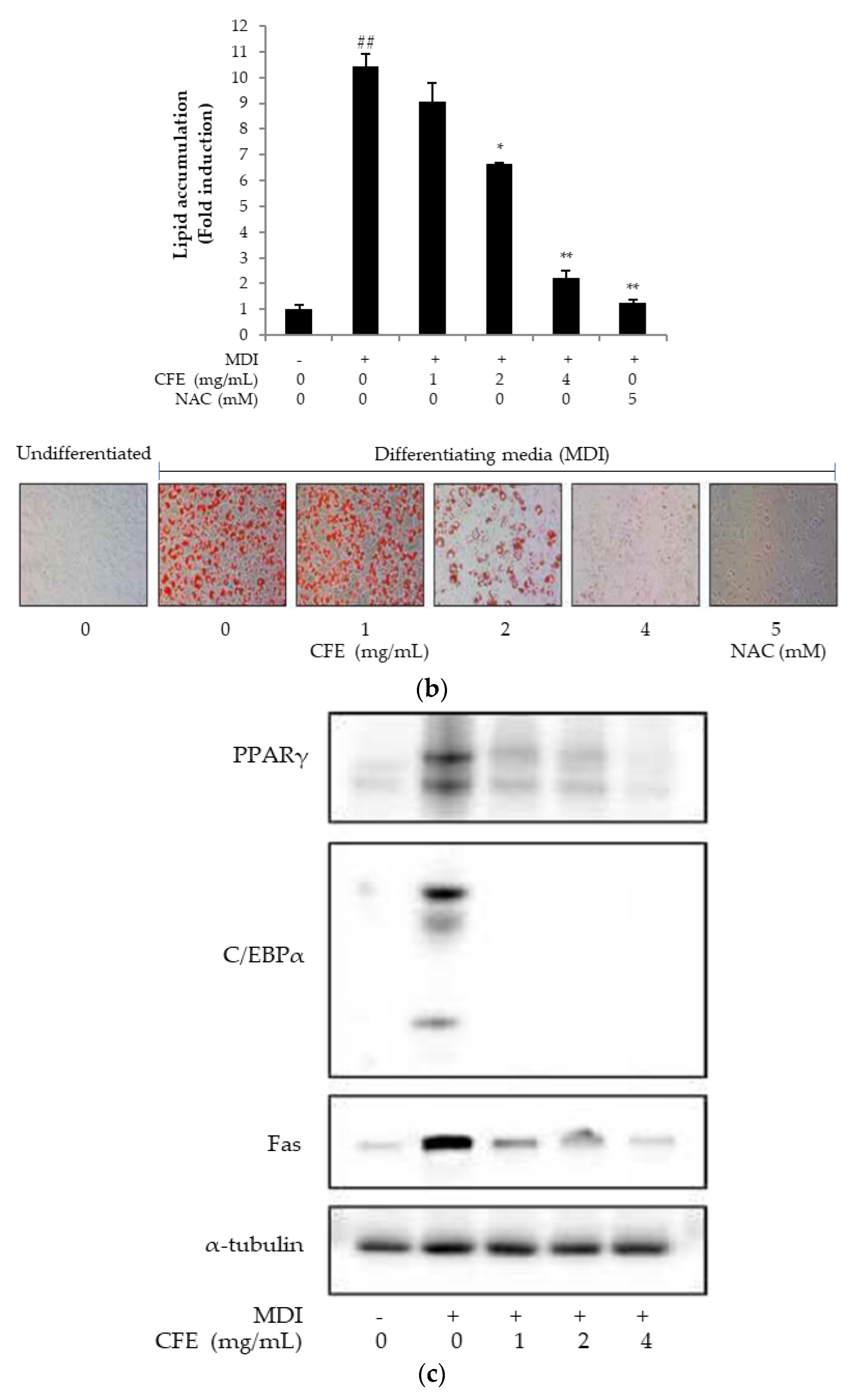 Applsci 12 00959 g003b 550