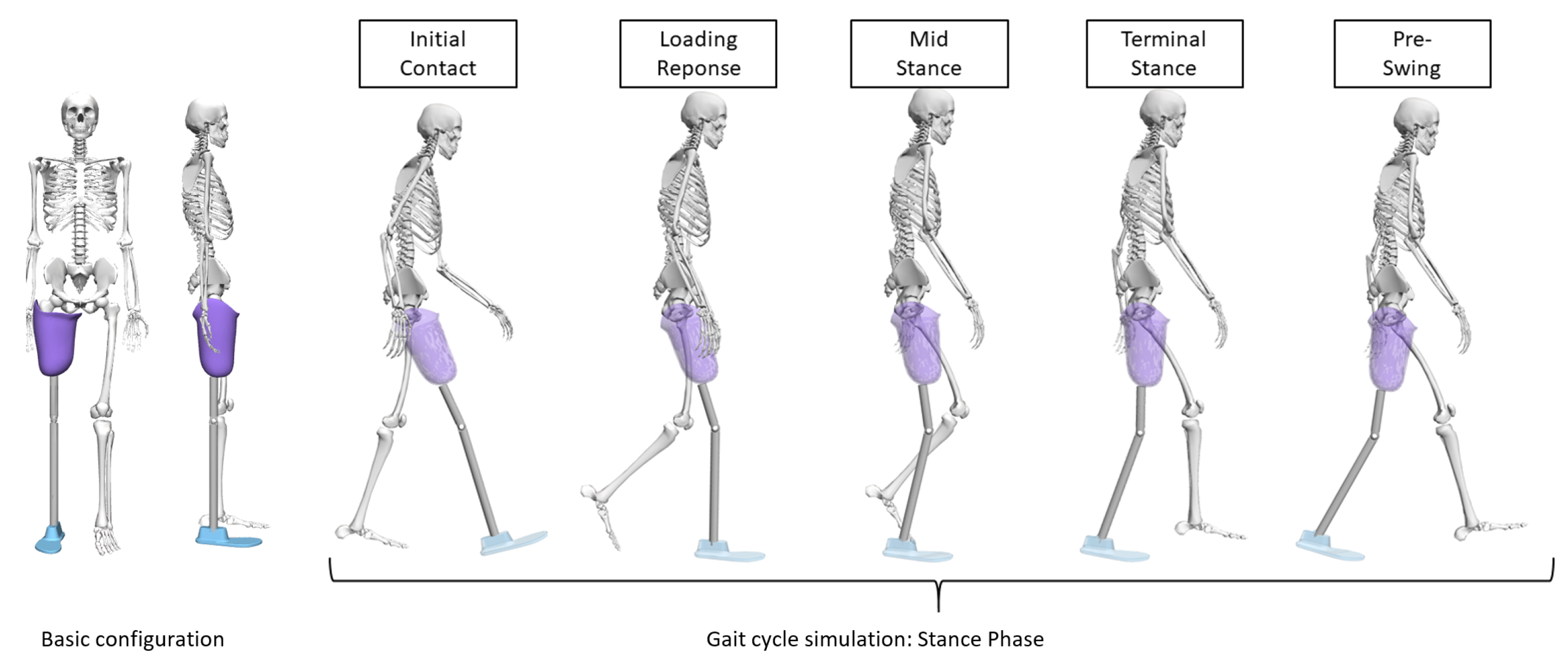 Applsci 12 00986 g002 Applsci 12 00986 g002