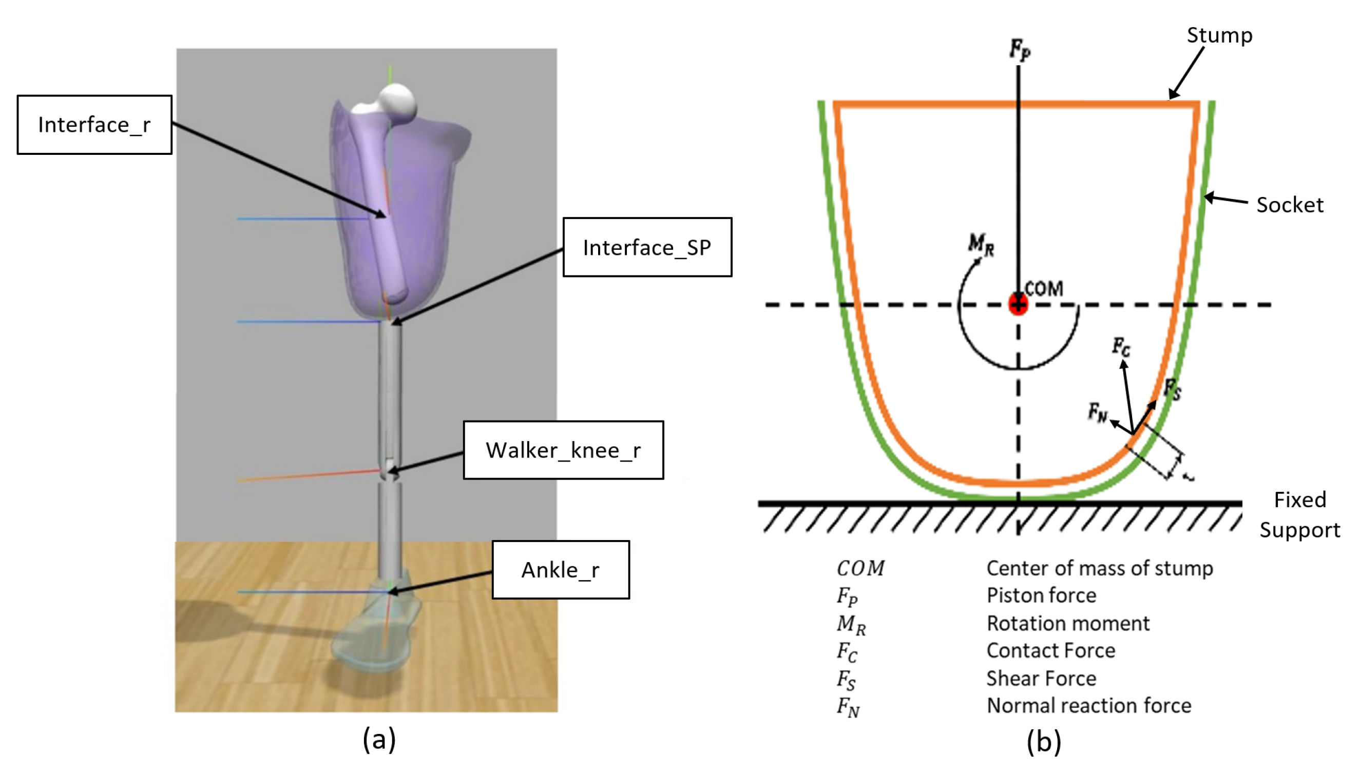 Applsci 12 00986 g003 Applsci 12 00986 g003