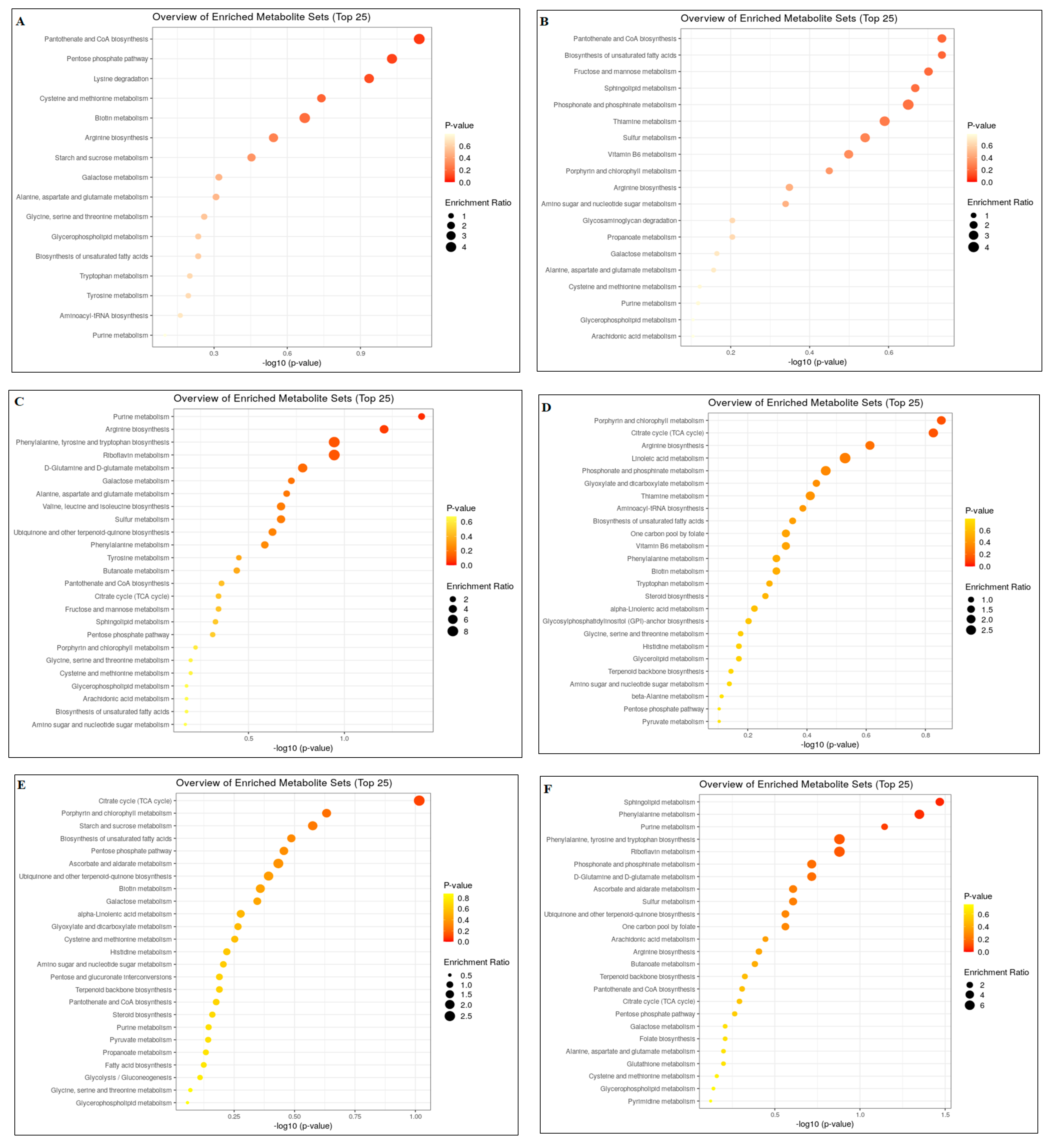 Applsci 12 00990 g003