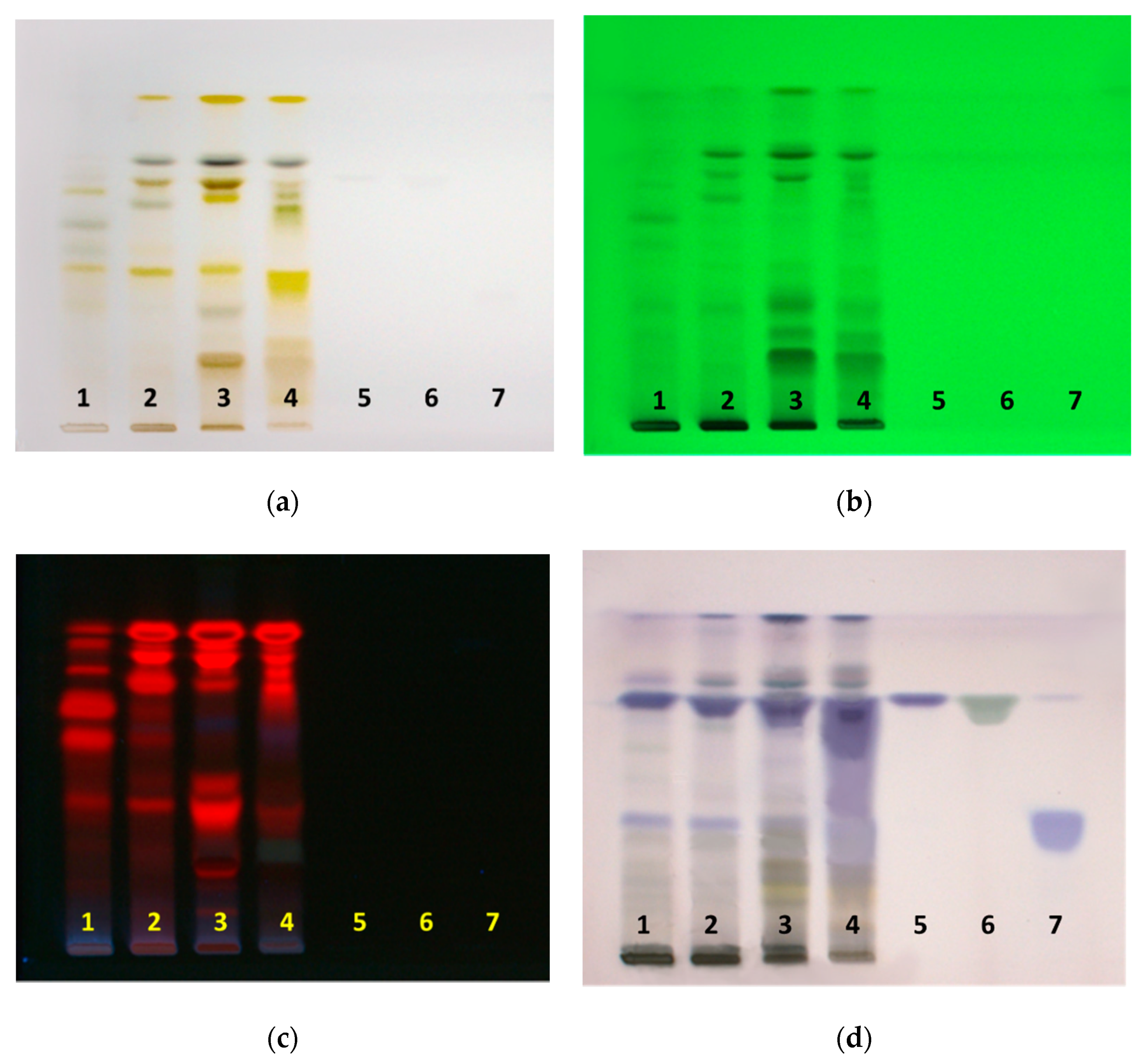 Applsci 12 00996 g001