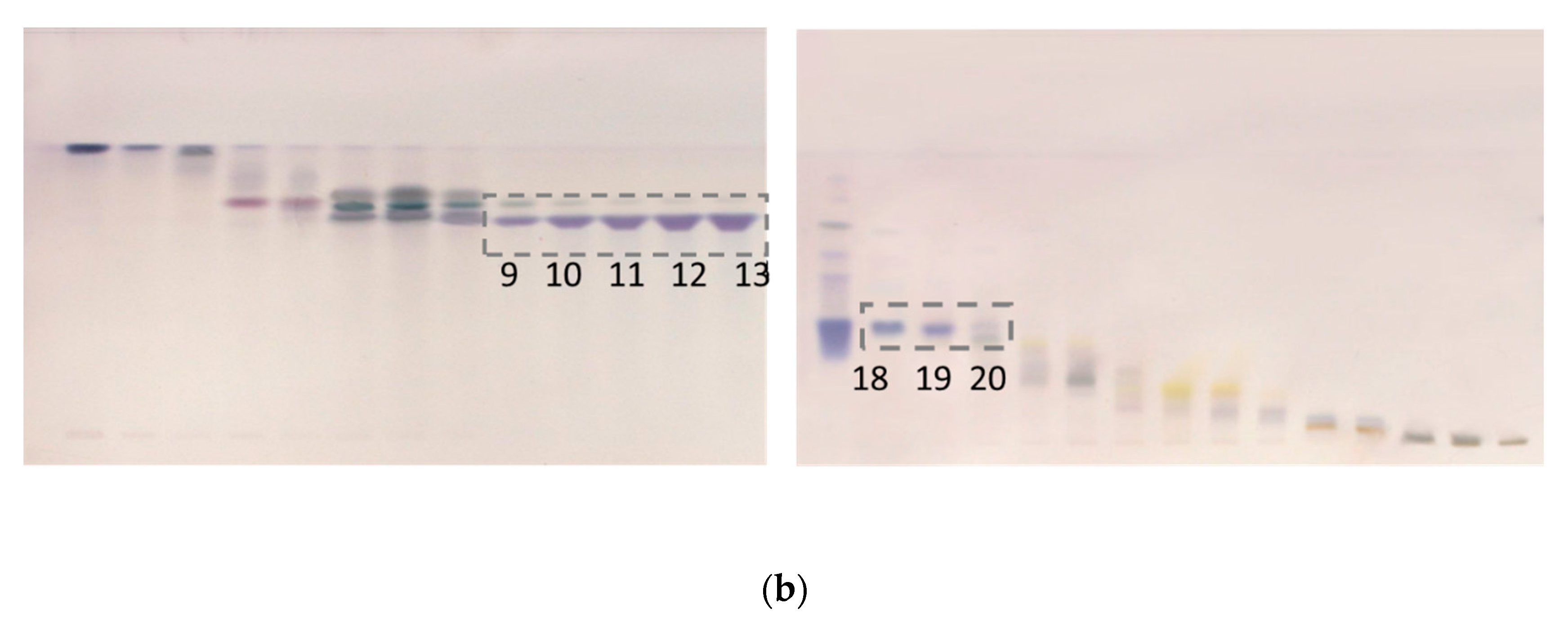 Applsci 12 00996 g004b