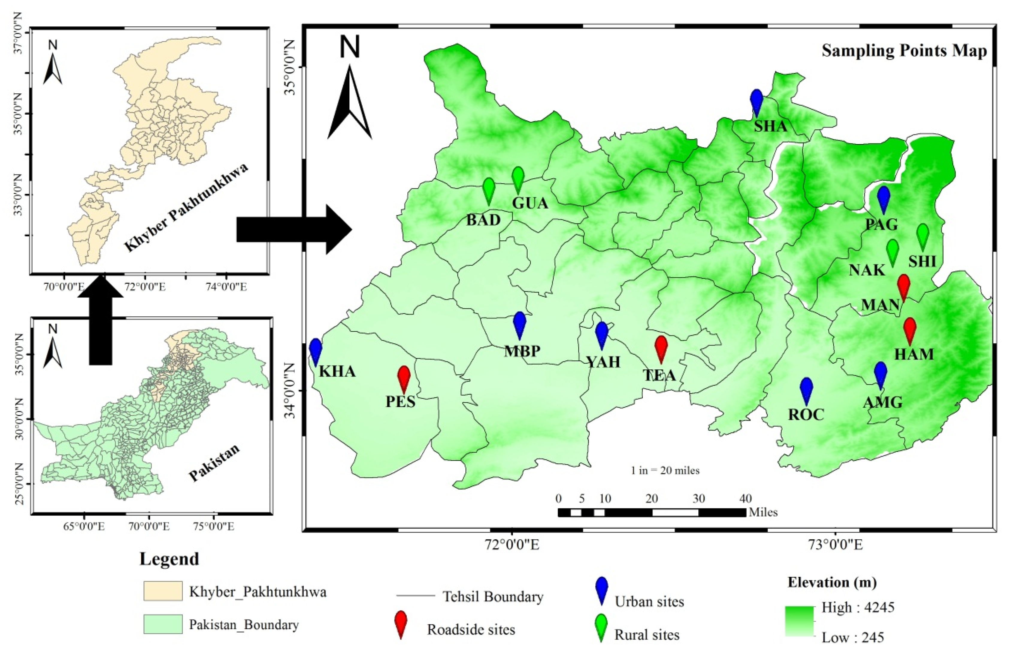 Applsci 12 01003 g001 550