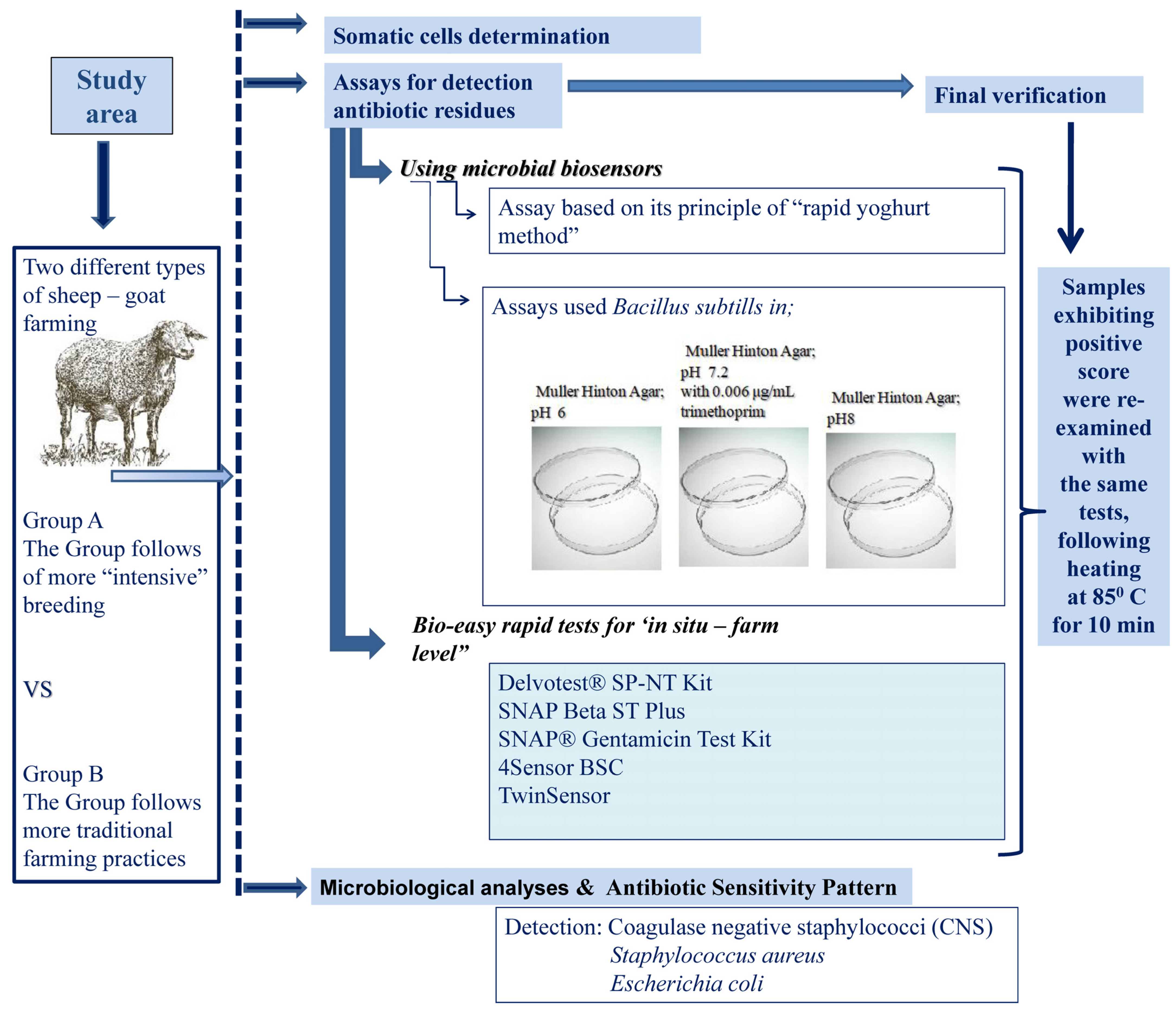 Applsci 12 01009 sch001 Applsci 12 01009 sch001