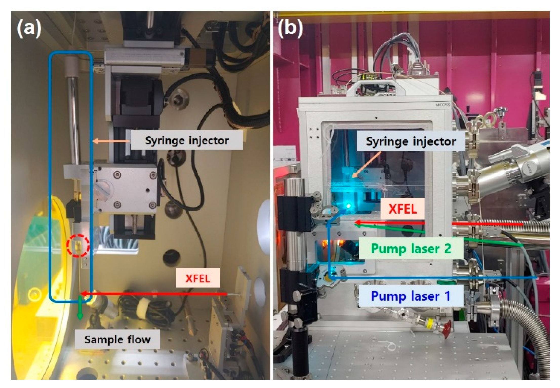 Applsci 12 01010 g010