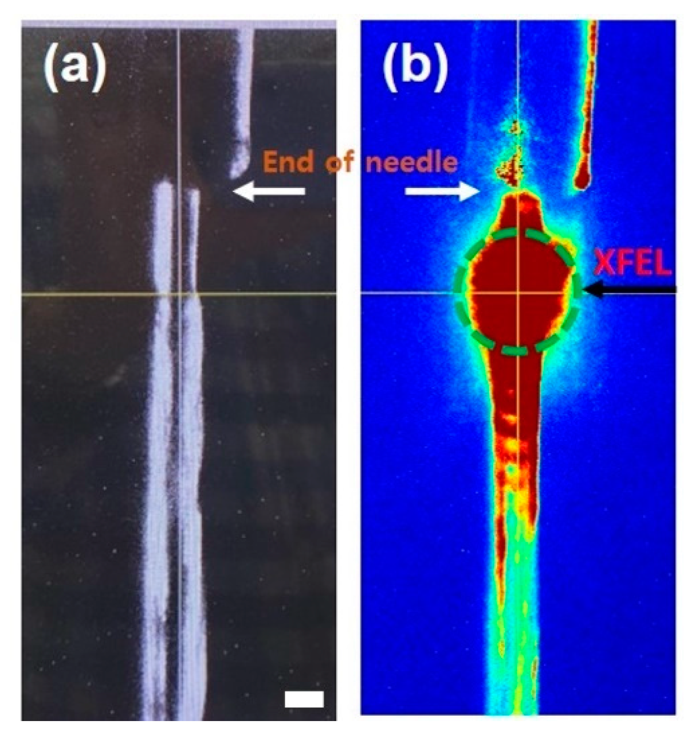 Applsci 12 01010 g011