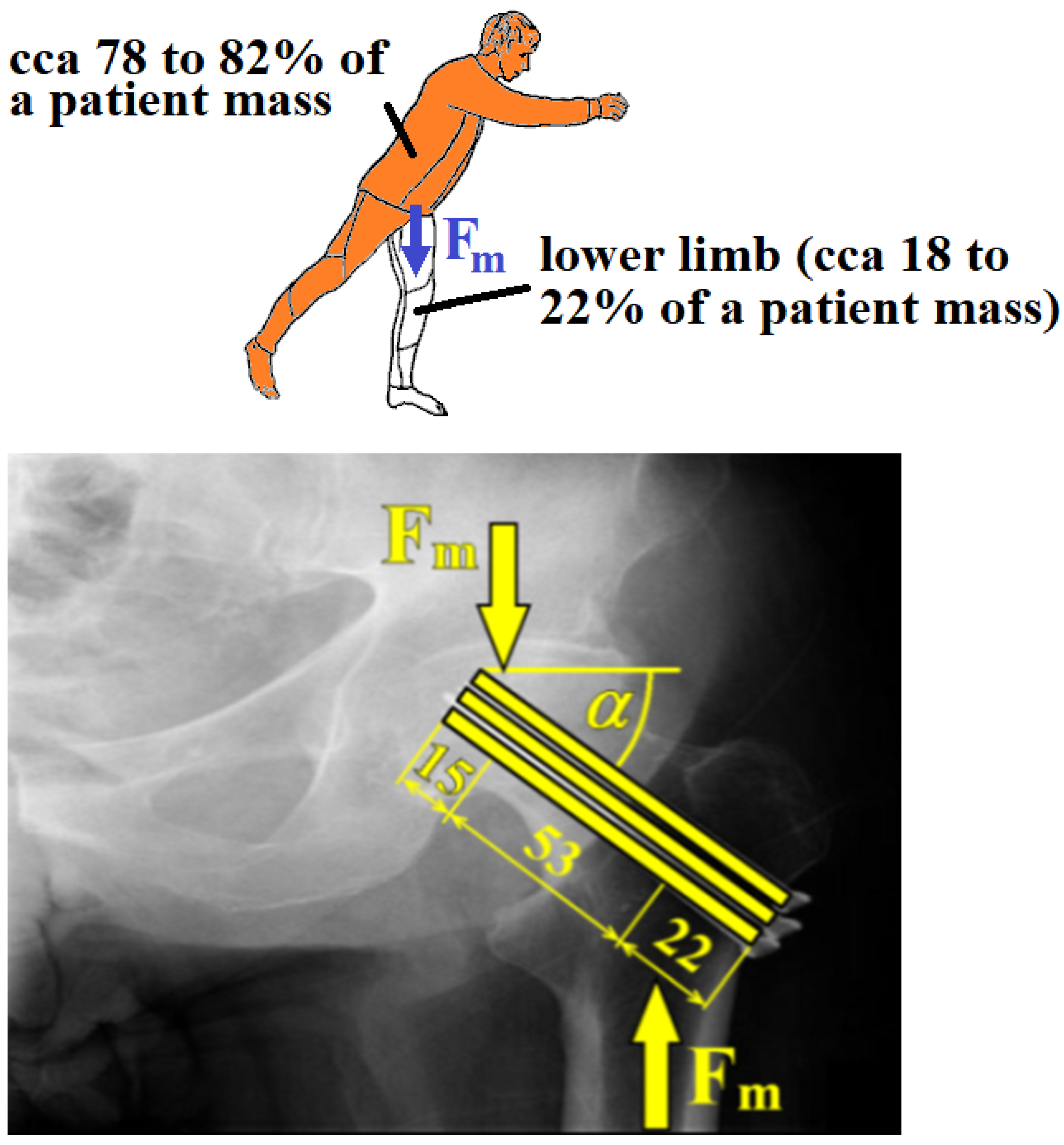 Applsci 12 01015 g003 Applsci 12 01015 g003