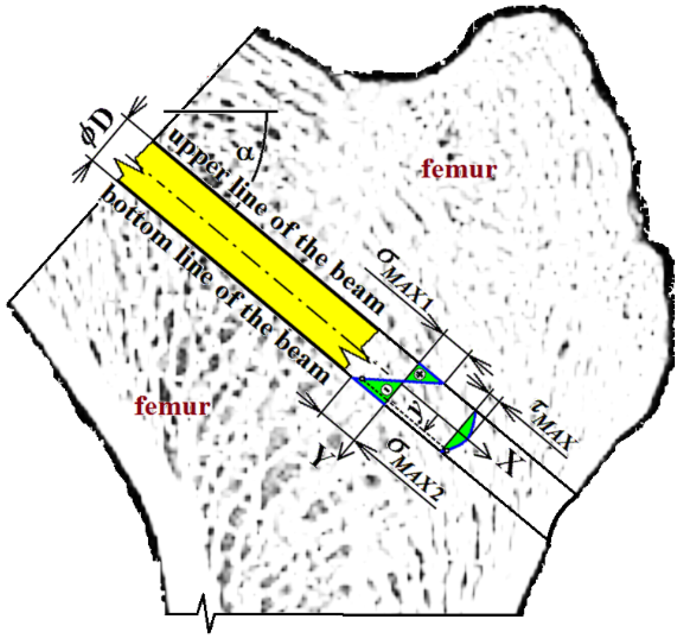 Applsci 12 01015 g005 Applsci 12 01015 g005