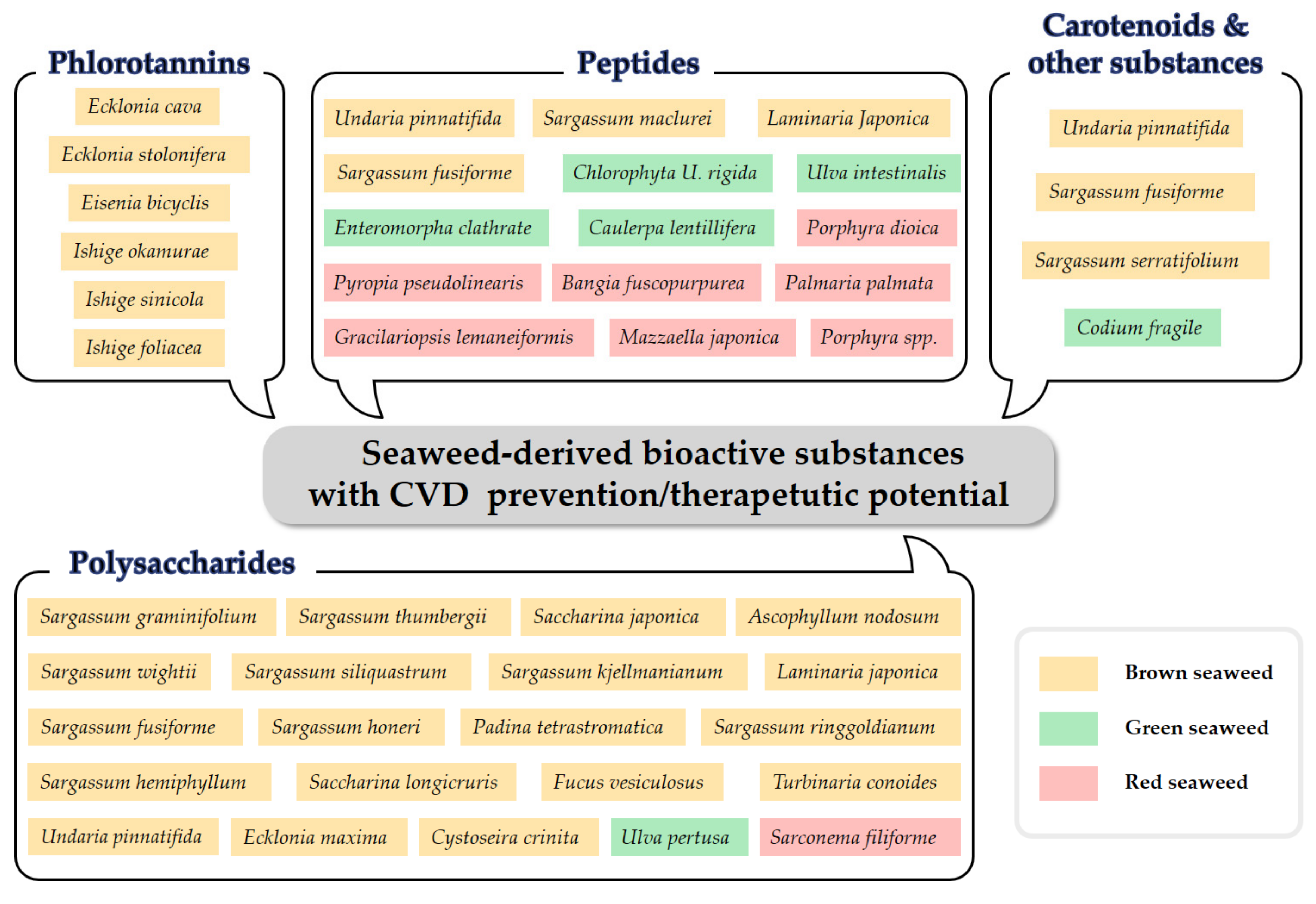 Applsci 12 01025 g001 Applsci 12 01025 g001