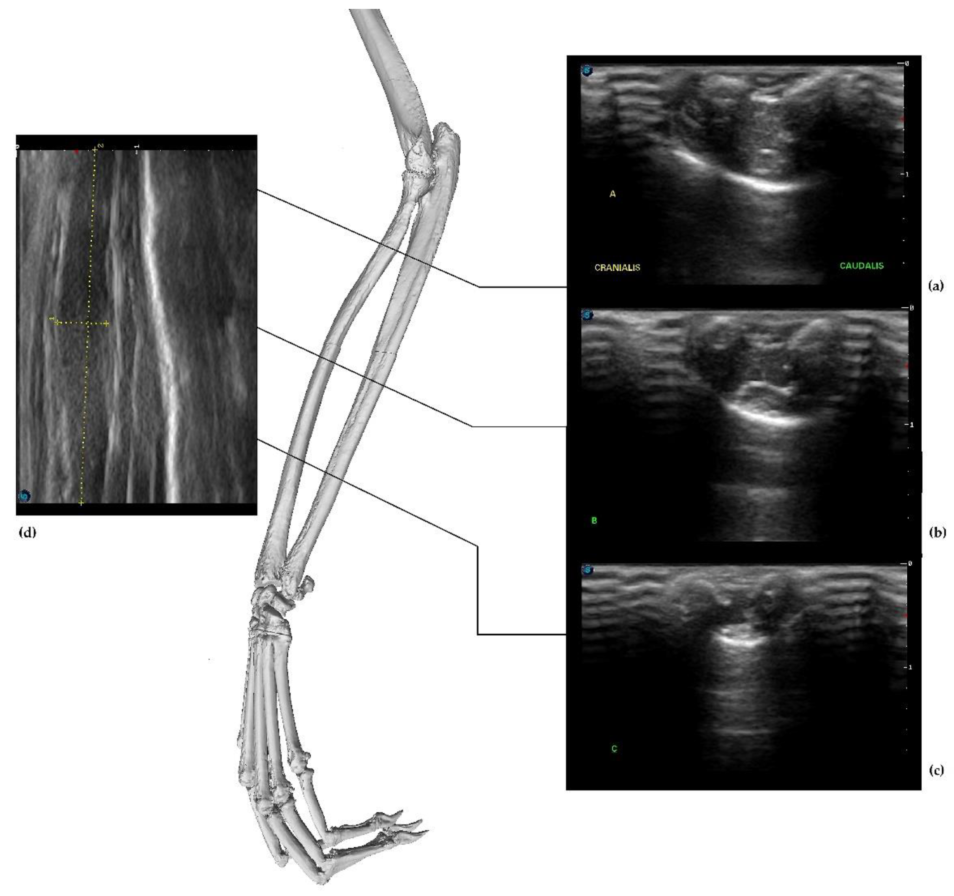 Applsci 12 01031 g001