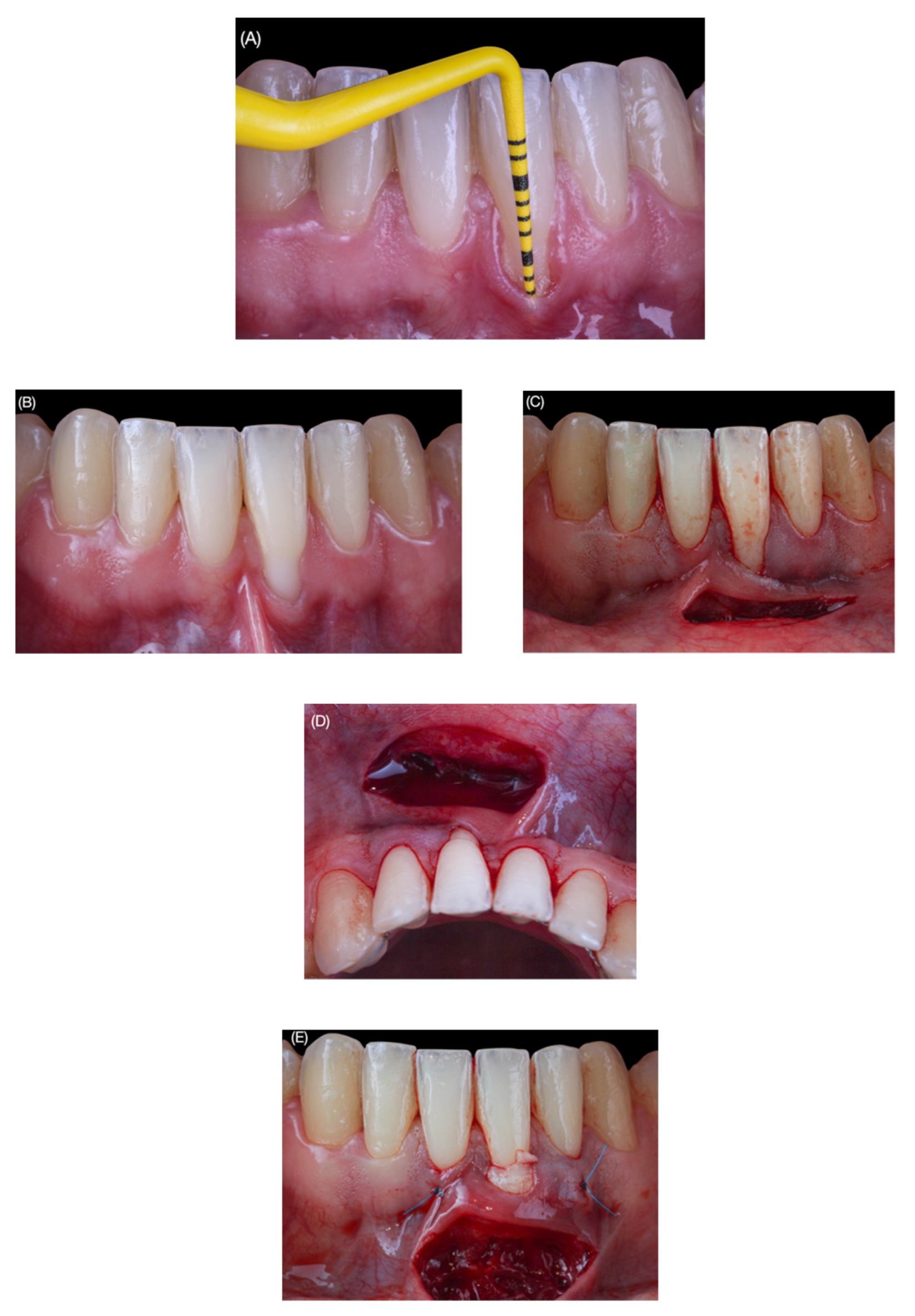 Applsci 12 01038 g001a Applsci 12 01038 g001a