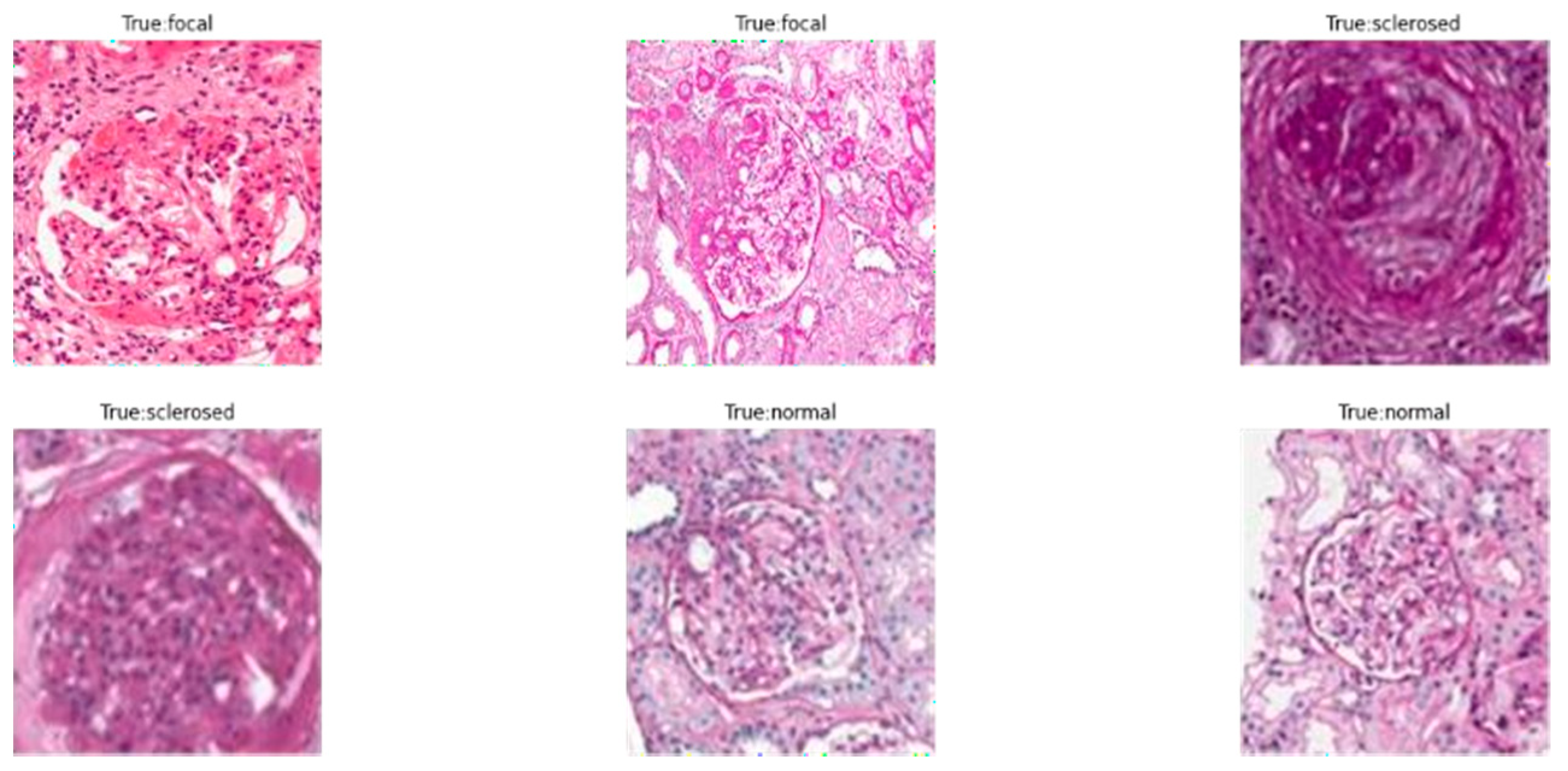 Applsci 12 01040 g002 550