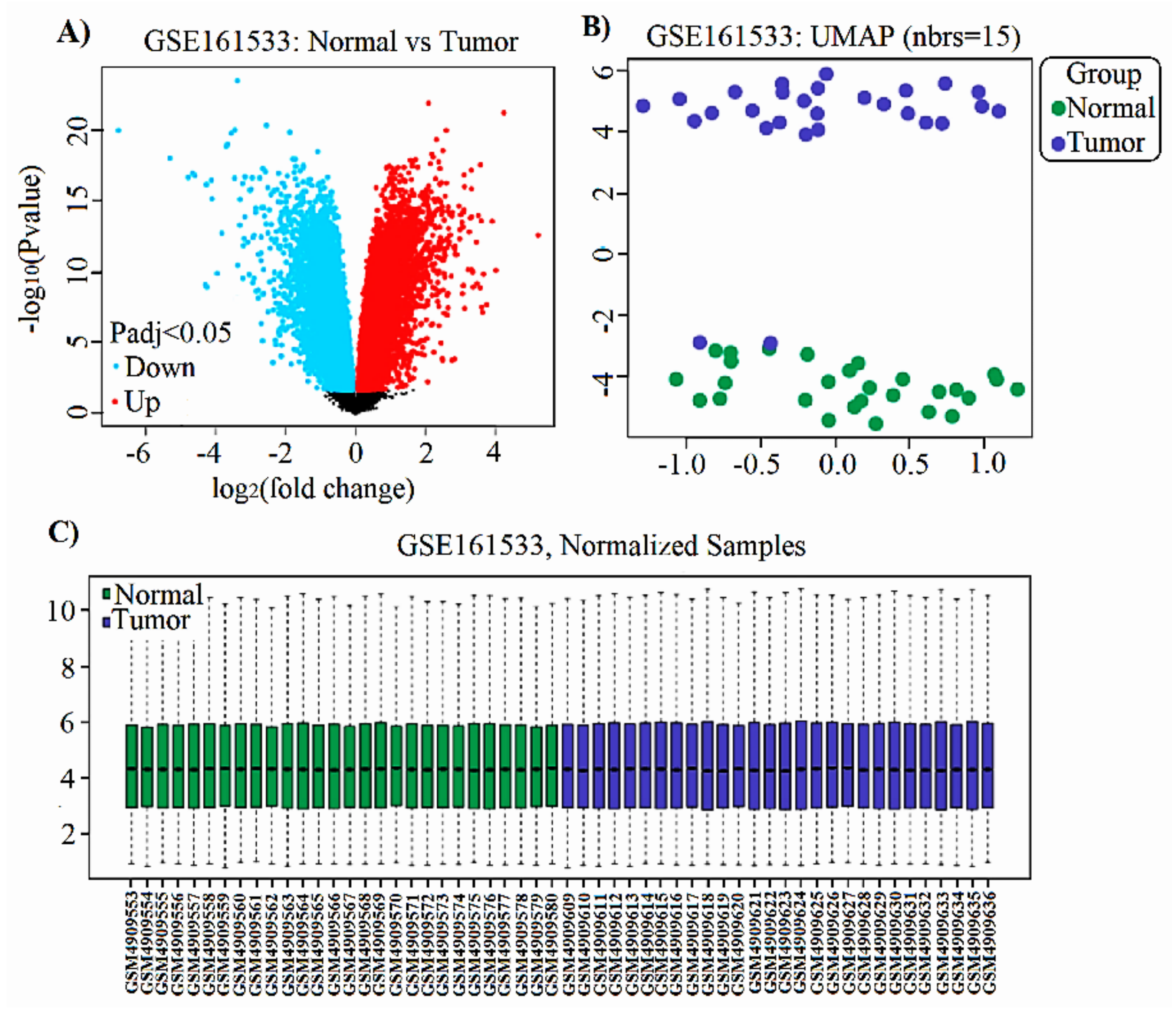 Applsci 12 01083 g001